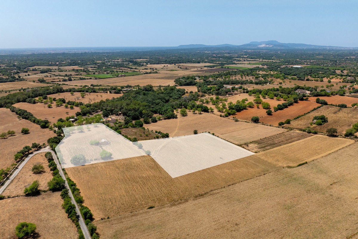 Nuevo proyecto de construcción cerca de Cas Concos