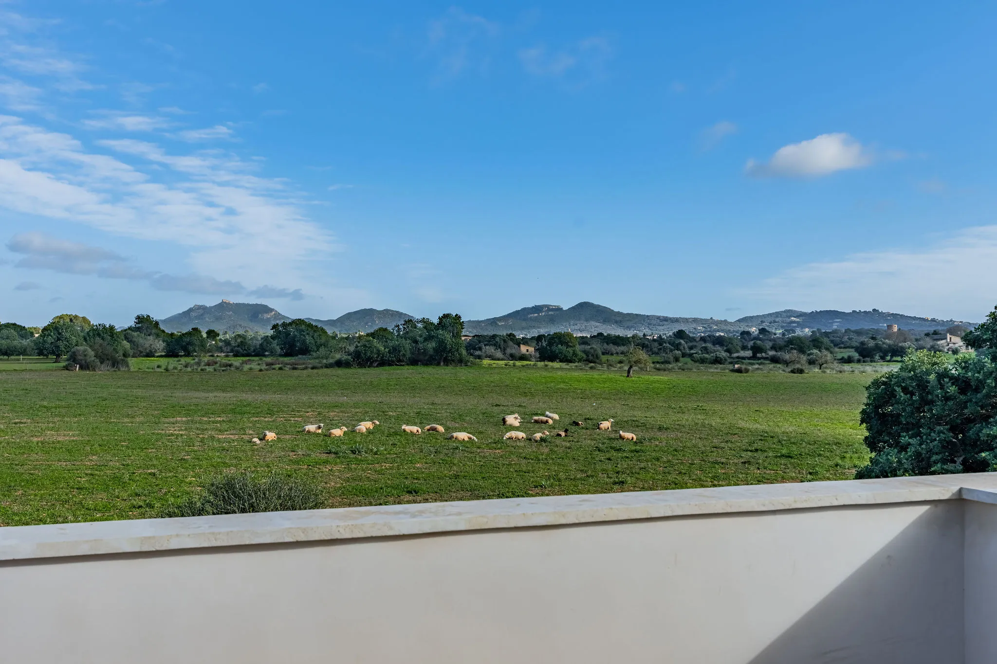 Gustowna nowo wybudowana finca ze wspaniałymi widokami na okolicę w pobliżu Cas Concos-17