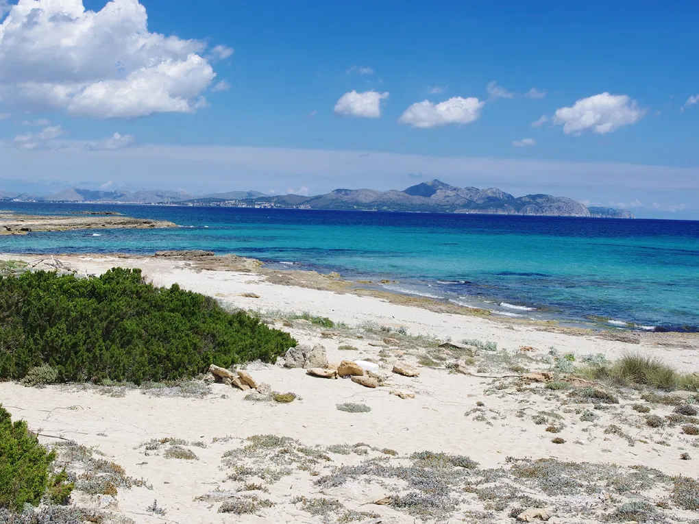 Exclusive semi-detached villa project with a pool, just a few meters from the sea in Son Serra de Marina-6