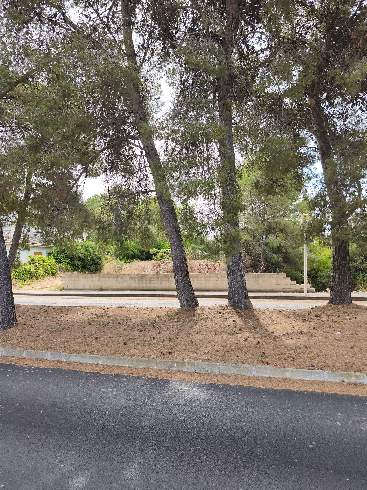 Exclusive semi-detached villa project with a pool, just a few meters from the sea in Son Serra de Marina-5
