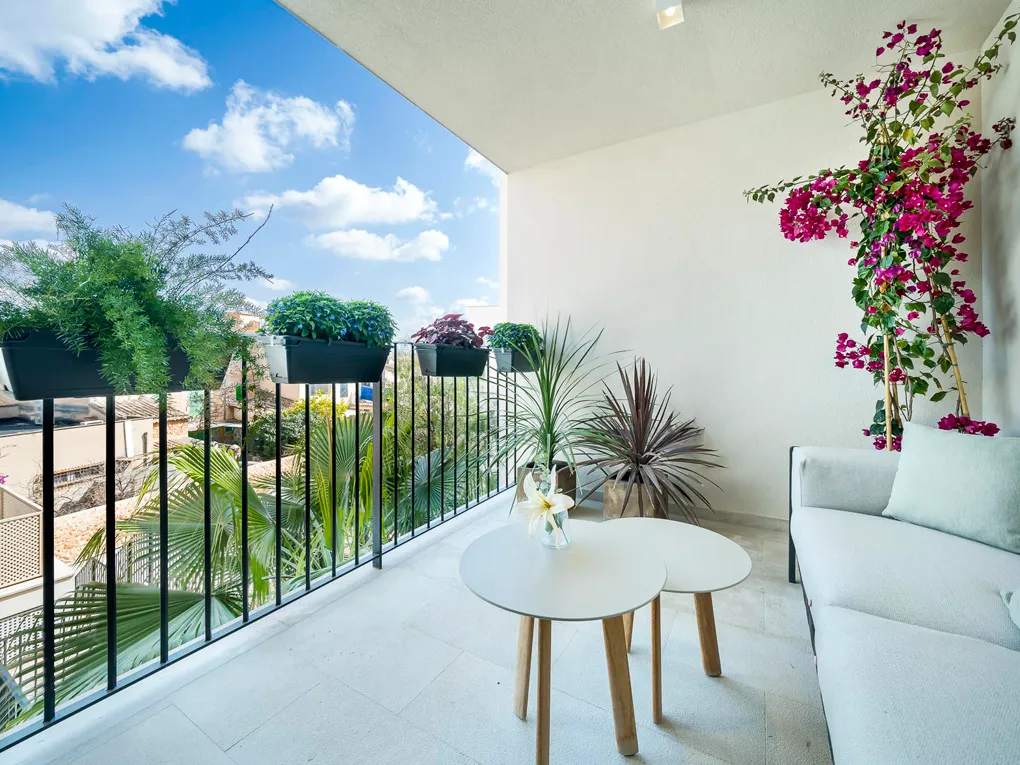 Luxe appartement in Santa María-2