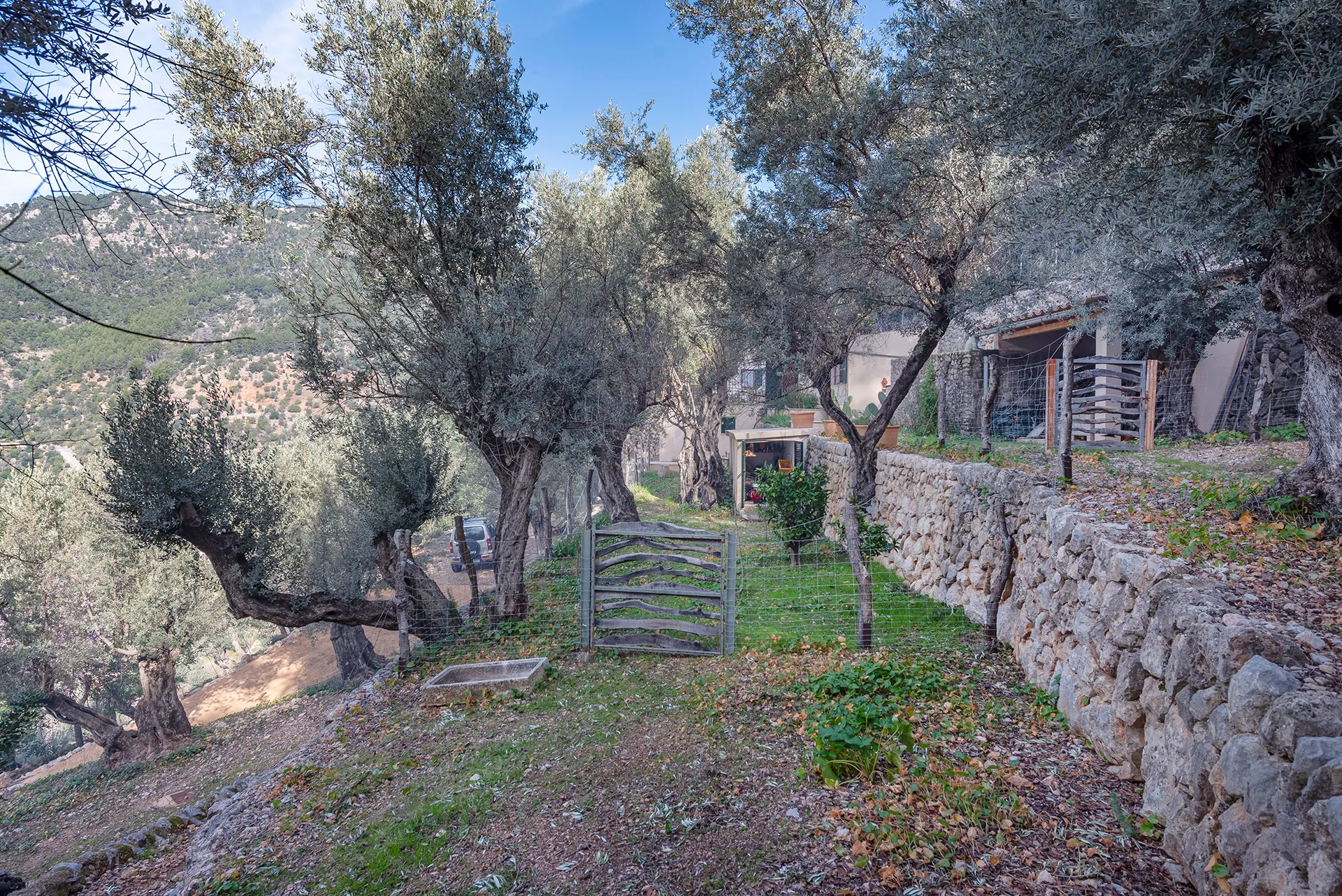 Charming country house with stunning views of Fornalutx and Sóller-18