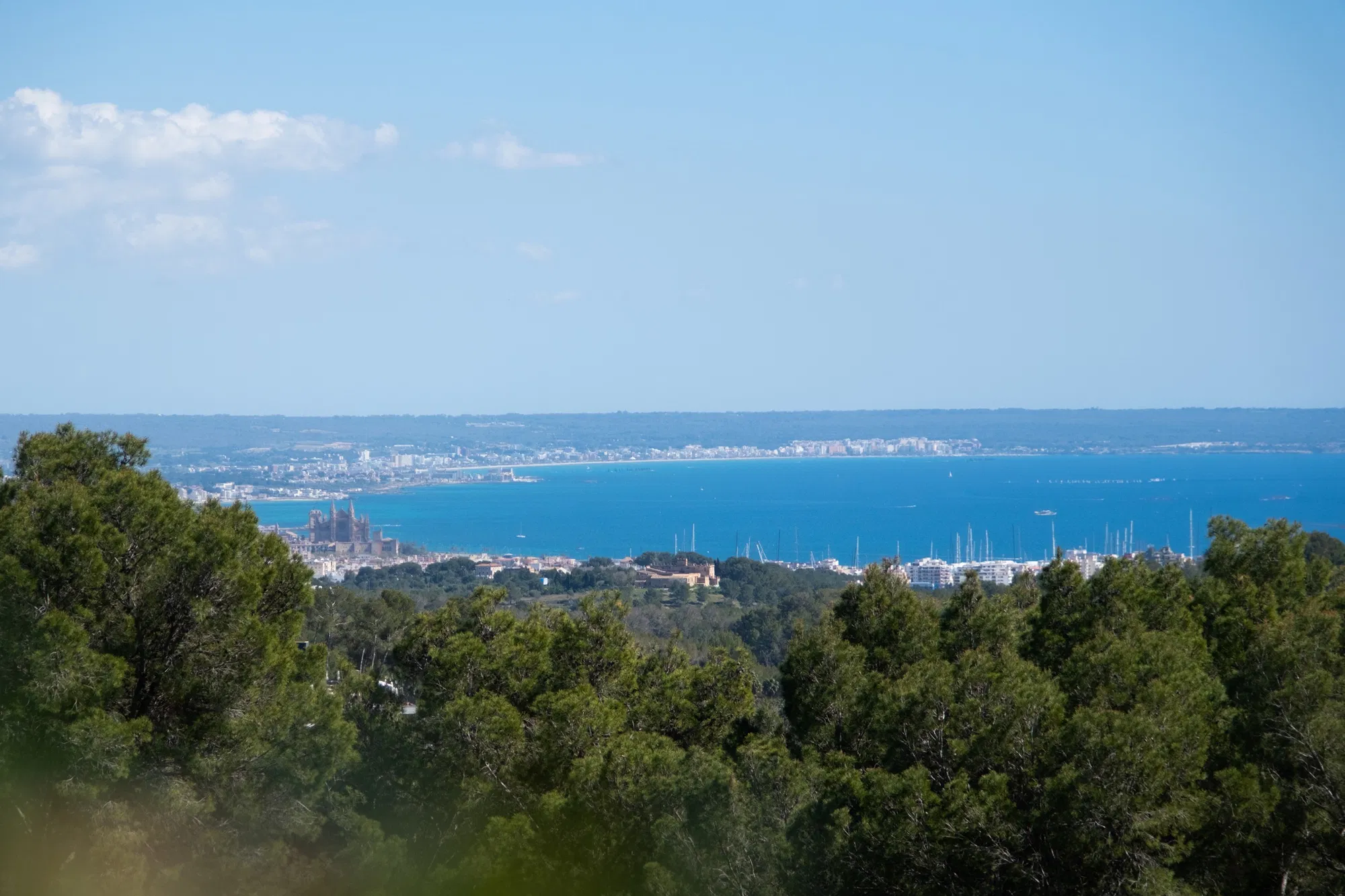 Una parcel·la plana amb vistes espectaculars al mar a Son Vida-3