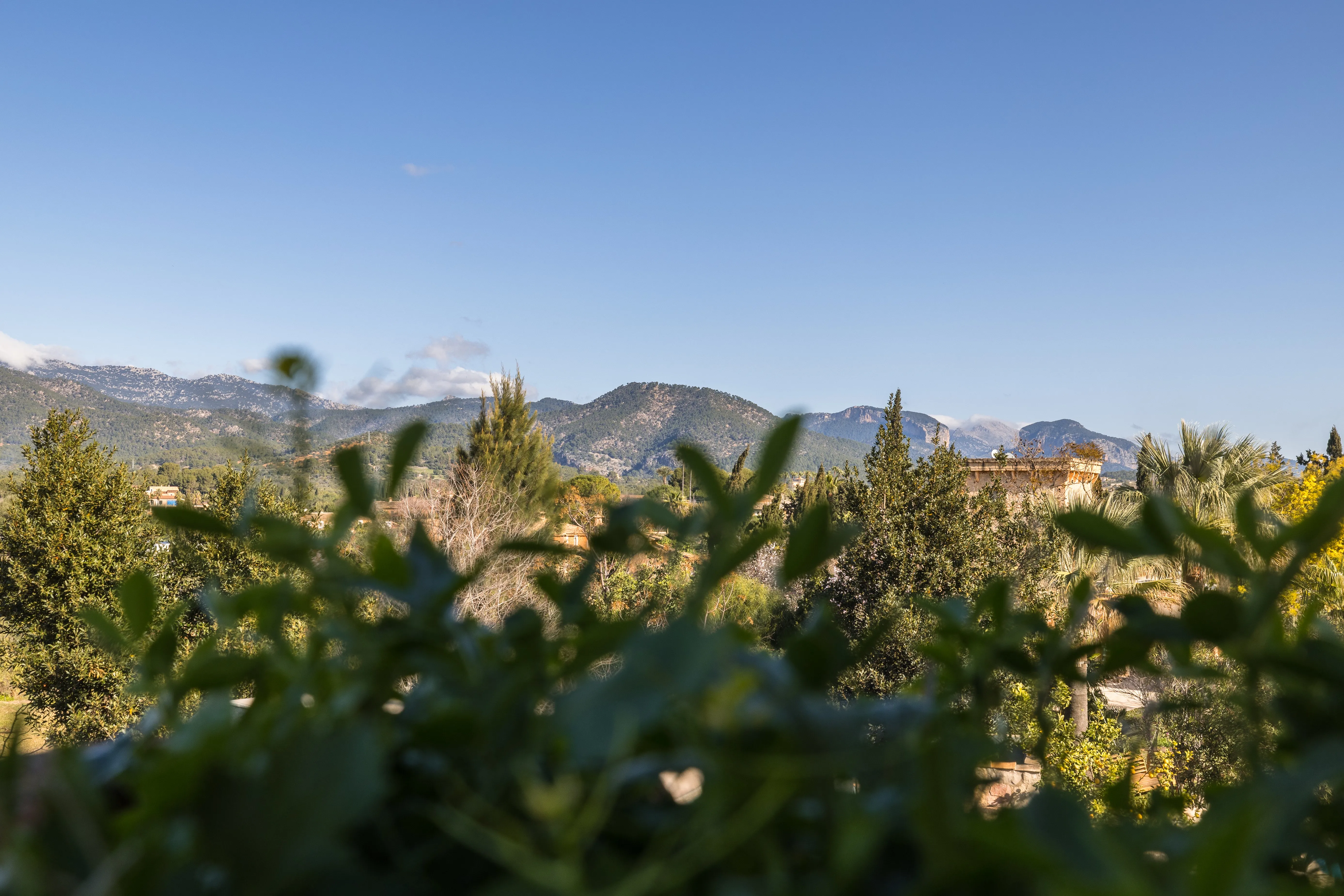 Historische Mühle mit Potential in Santa Maria-15