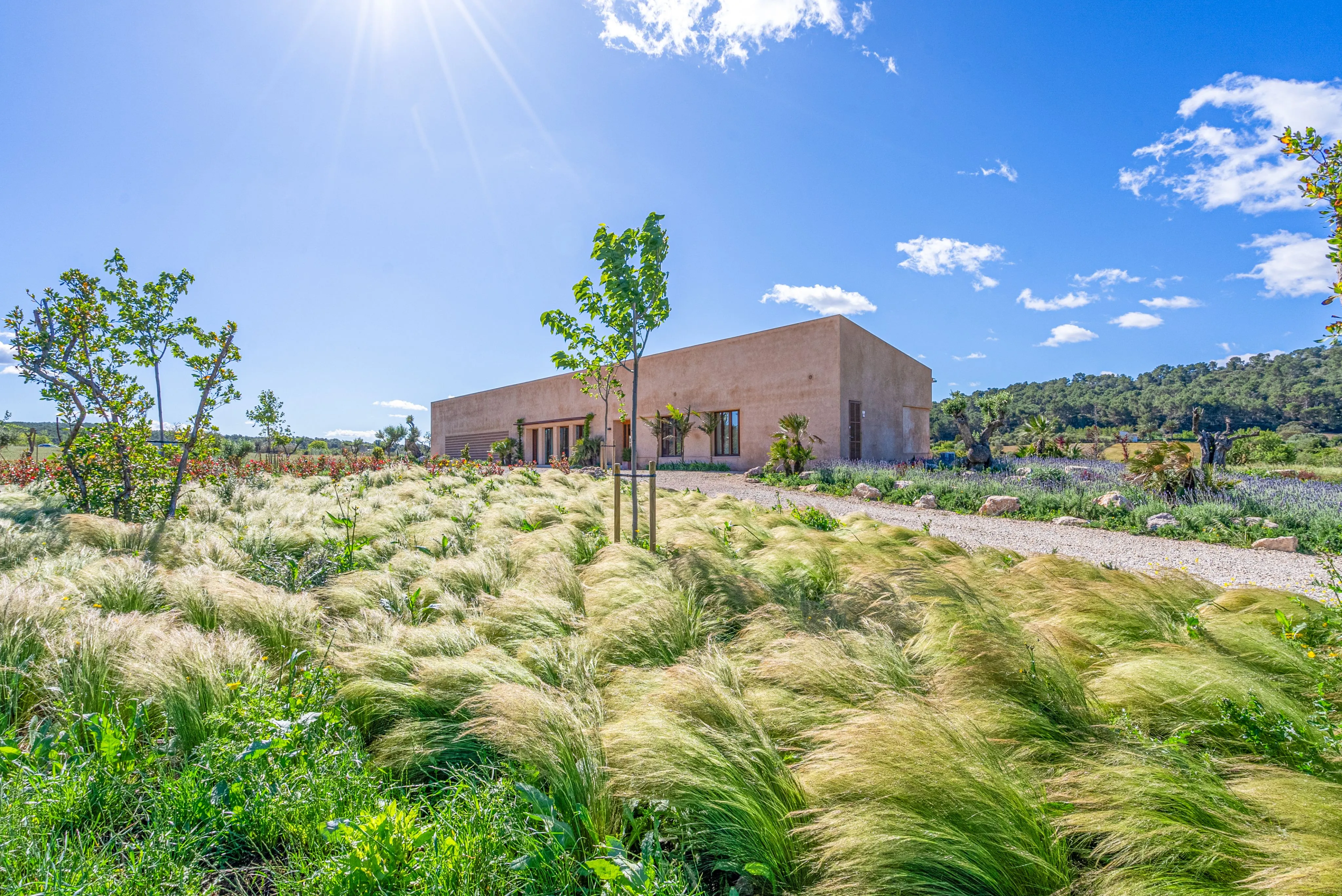 Finca med superlativer i rolige omgivelser-16