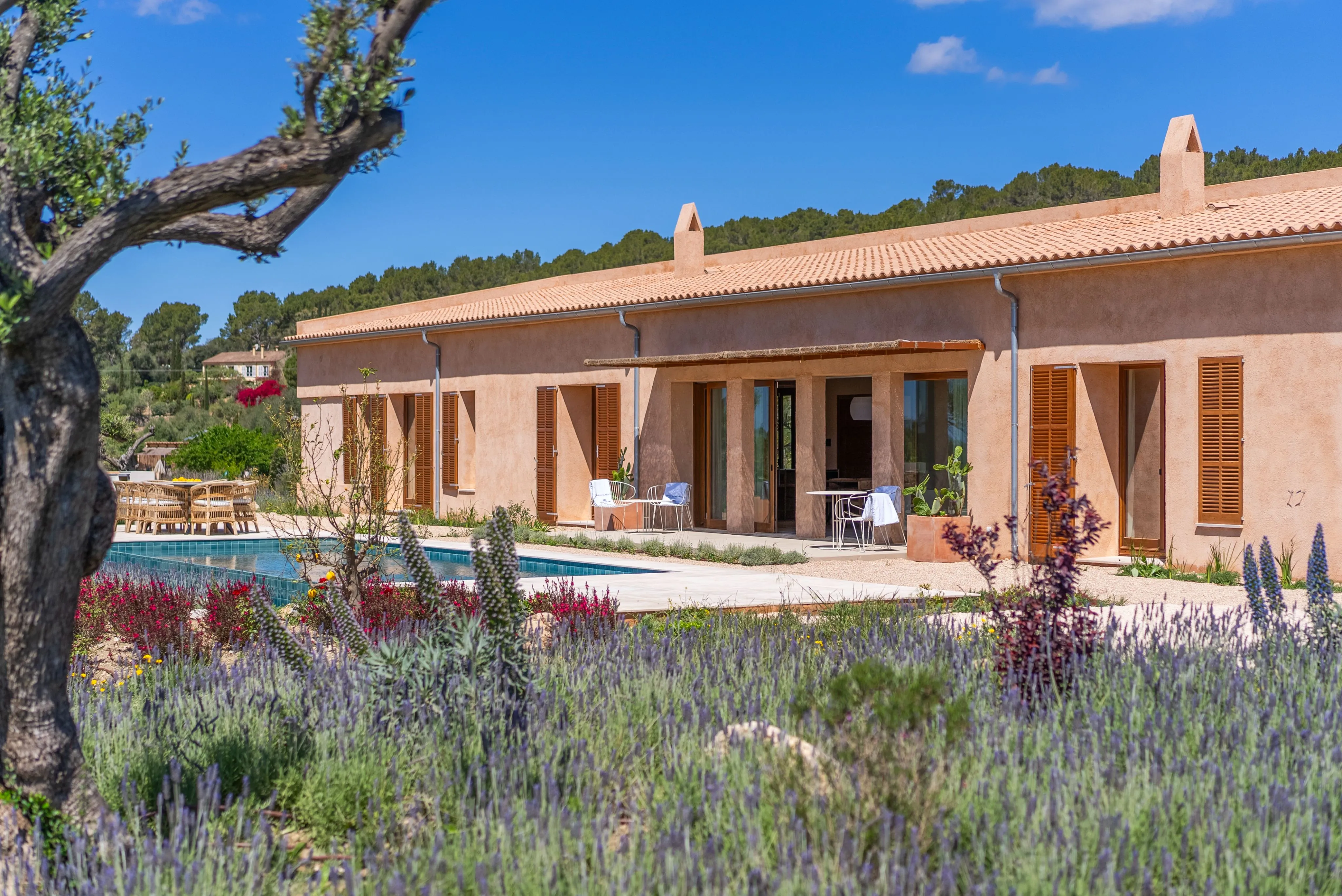 Finca med superlativer i rolige omgivelser-5