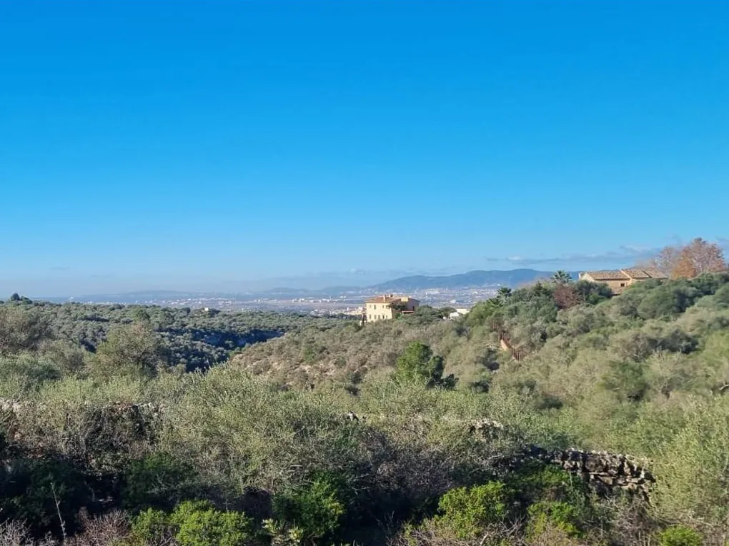 Opportunità unica di investire in un progetto di lusso-10