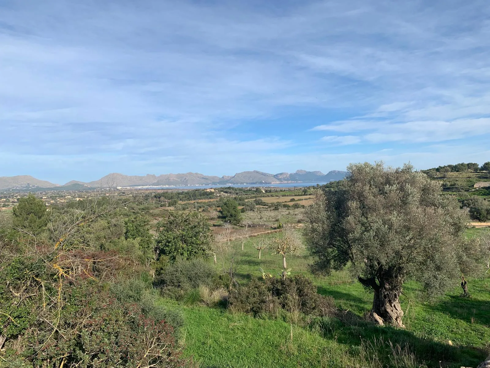 Красивый участок с проектом здания и панорамным видом на
залив Польенса-7