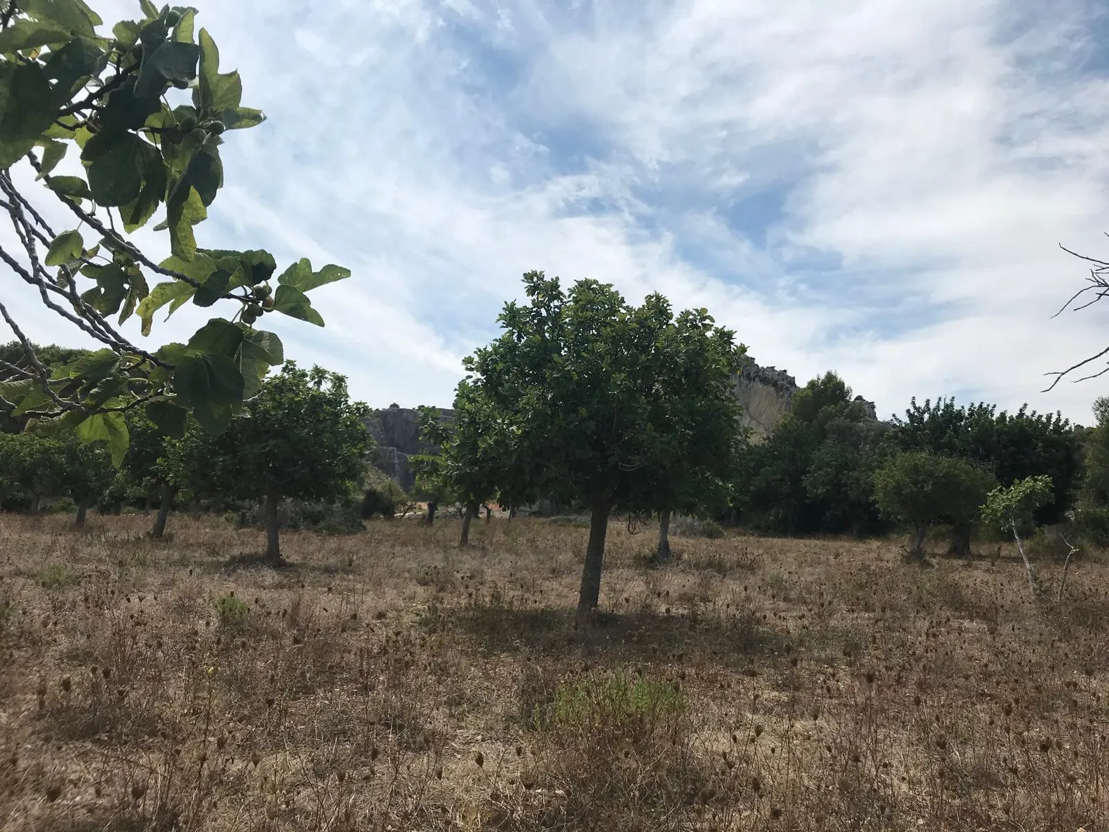 Красивый участок с проектом здания и панорамным видом на
залив Польенса-9