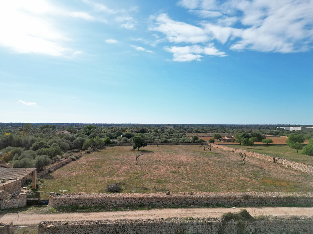 Terrain avec projet et vue ouverte sur l'horizon