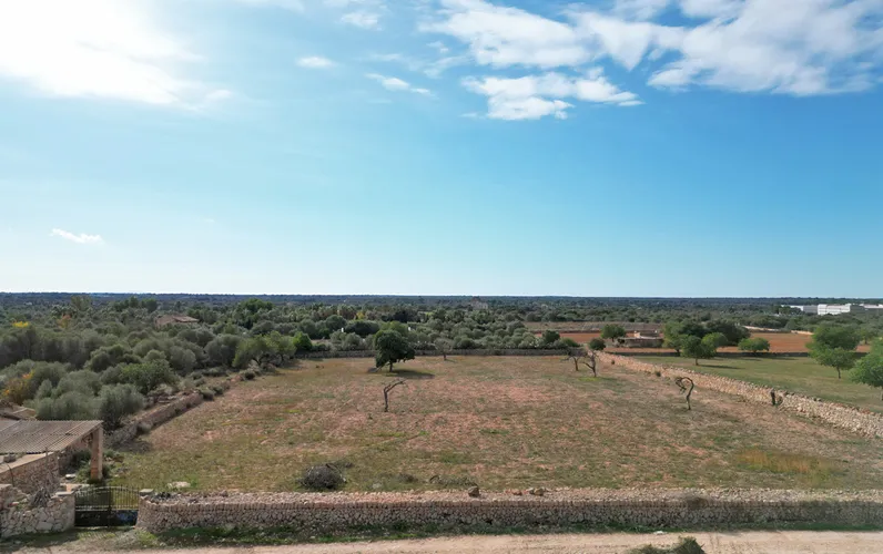 Parcel·la amb projecte i vistes