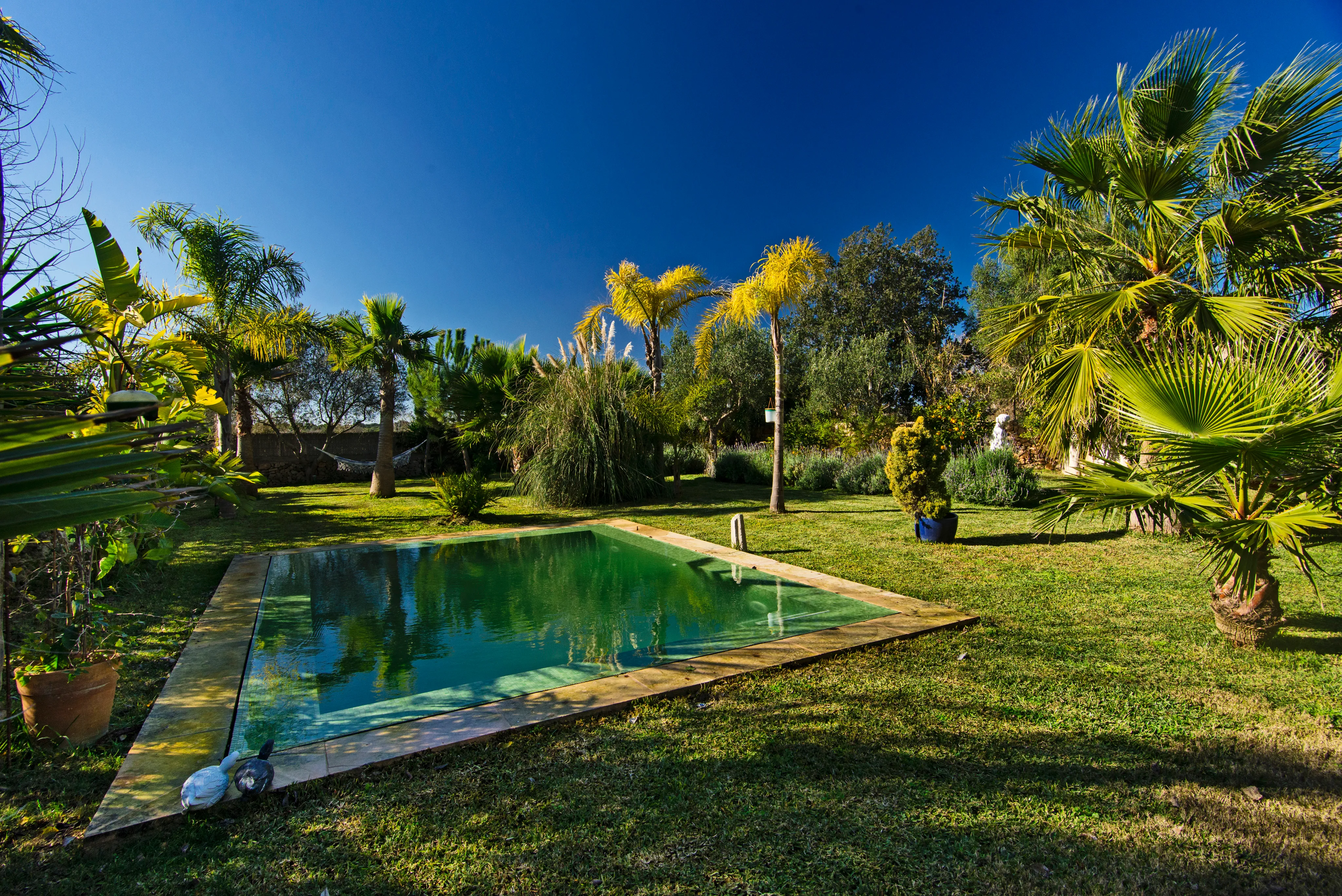 Juvel fra det 19. århundrede med ETV-licens-22