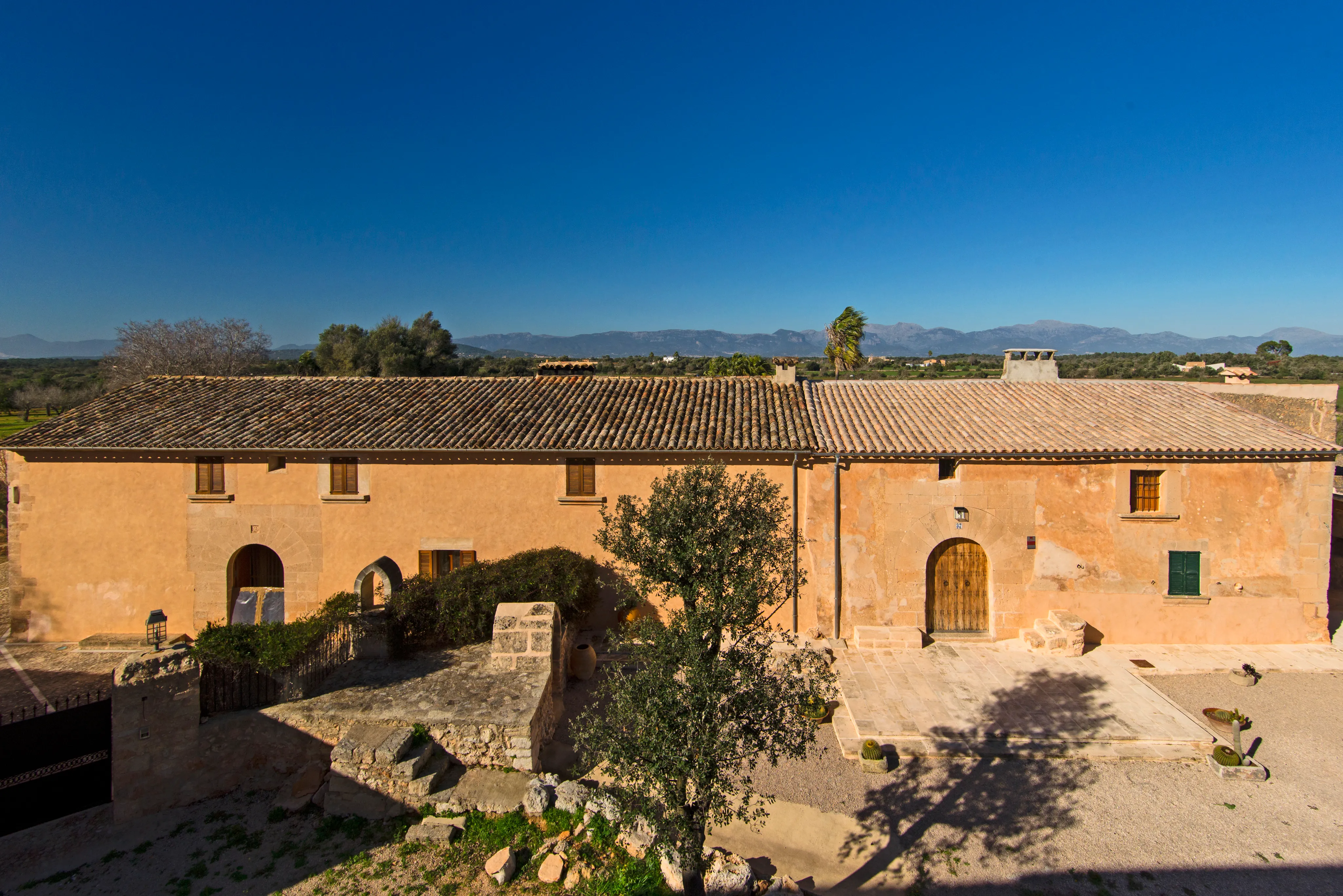 Jewel från 1800-talet med ETV-licens-18