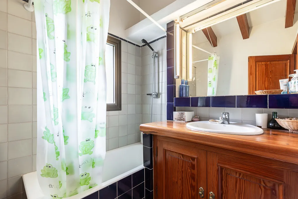 Traditionelle Finca in Santa Maria-16