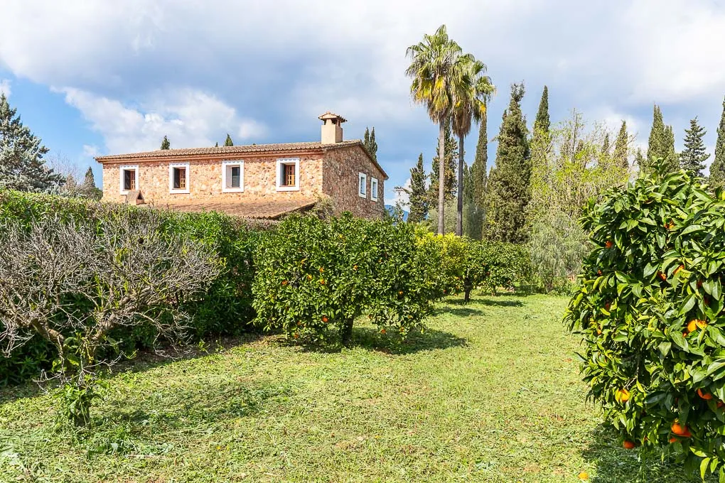 Traditionelle Finca in Santa Maria-2