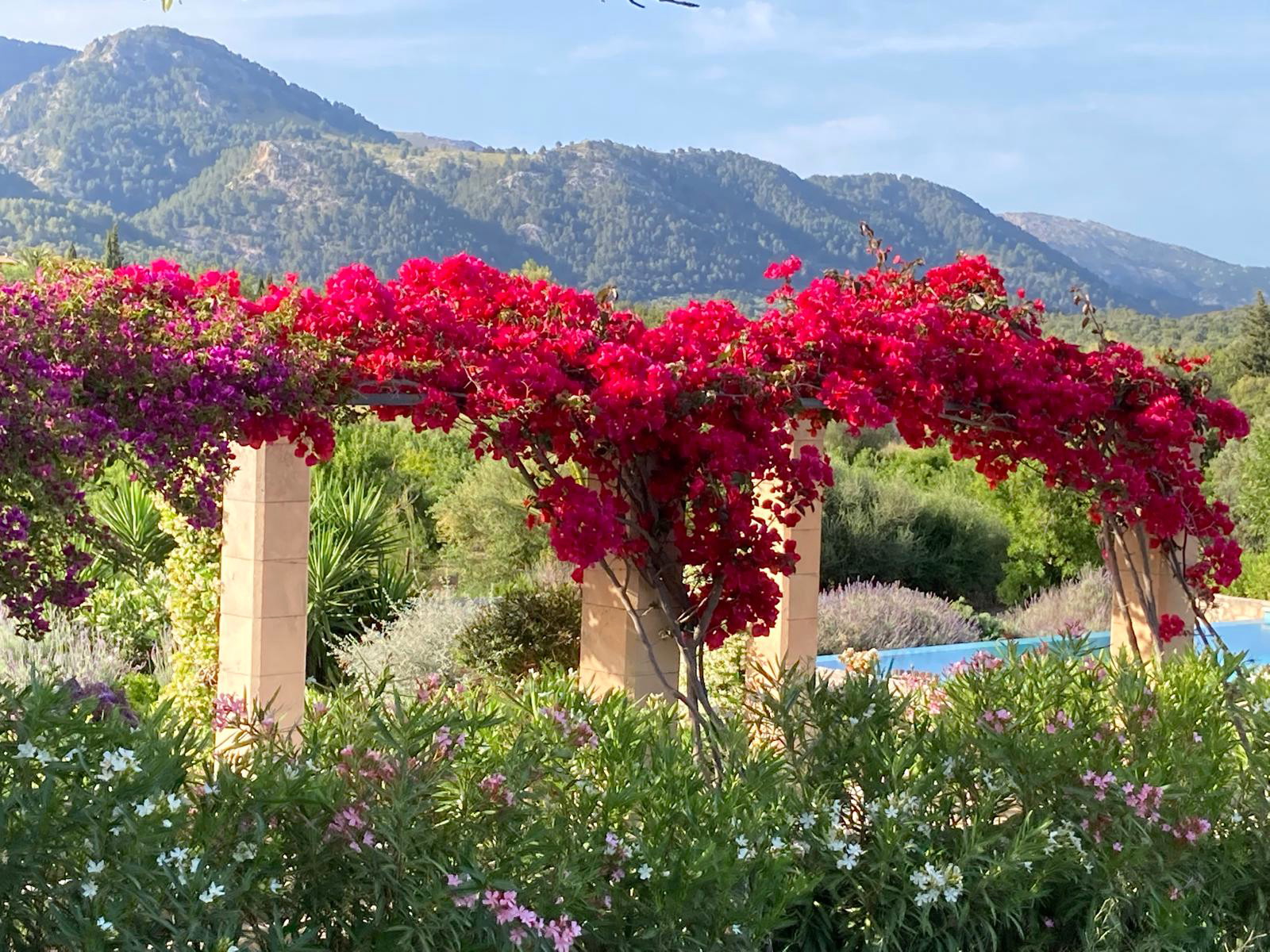Élégante maison de campagne offrant une vue spectaculaire sur la chaîne de la Tramuntana, à Moscari, Selva-20