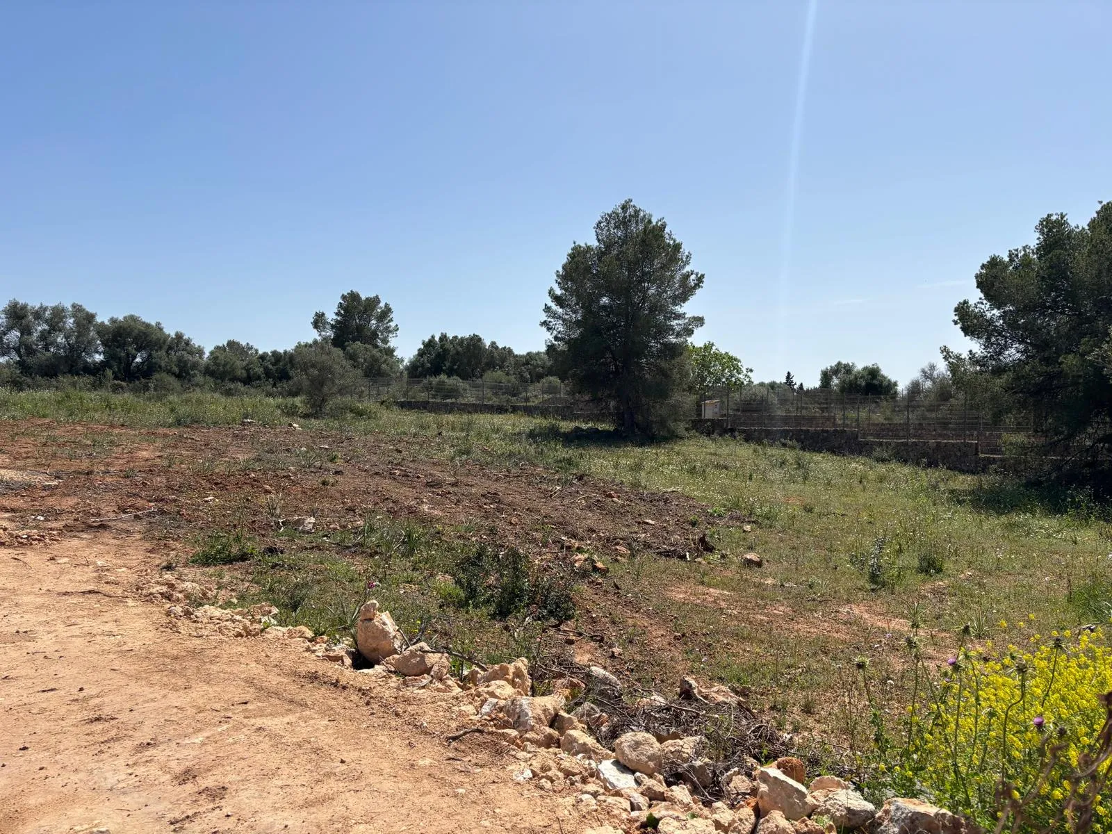 Investment opportunity in Son Gual: Nature and unobstructed views-1