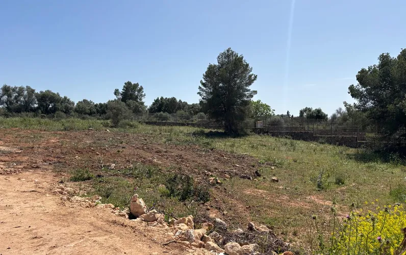Investment opportunity in Son Gual: Nature and unobstructed views