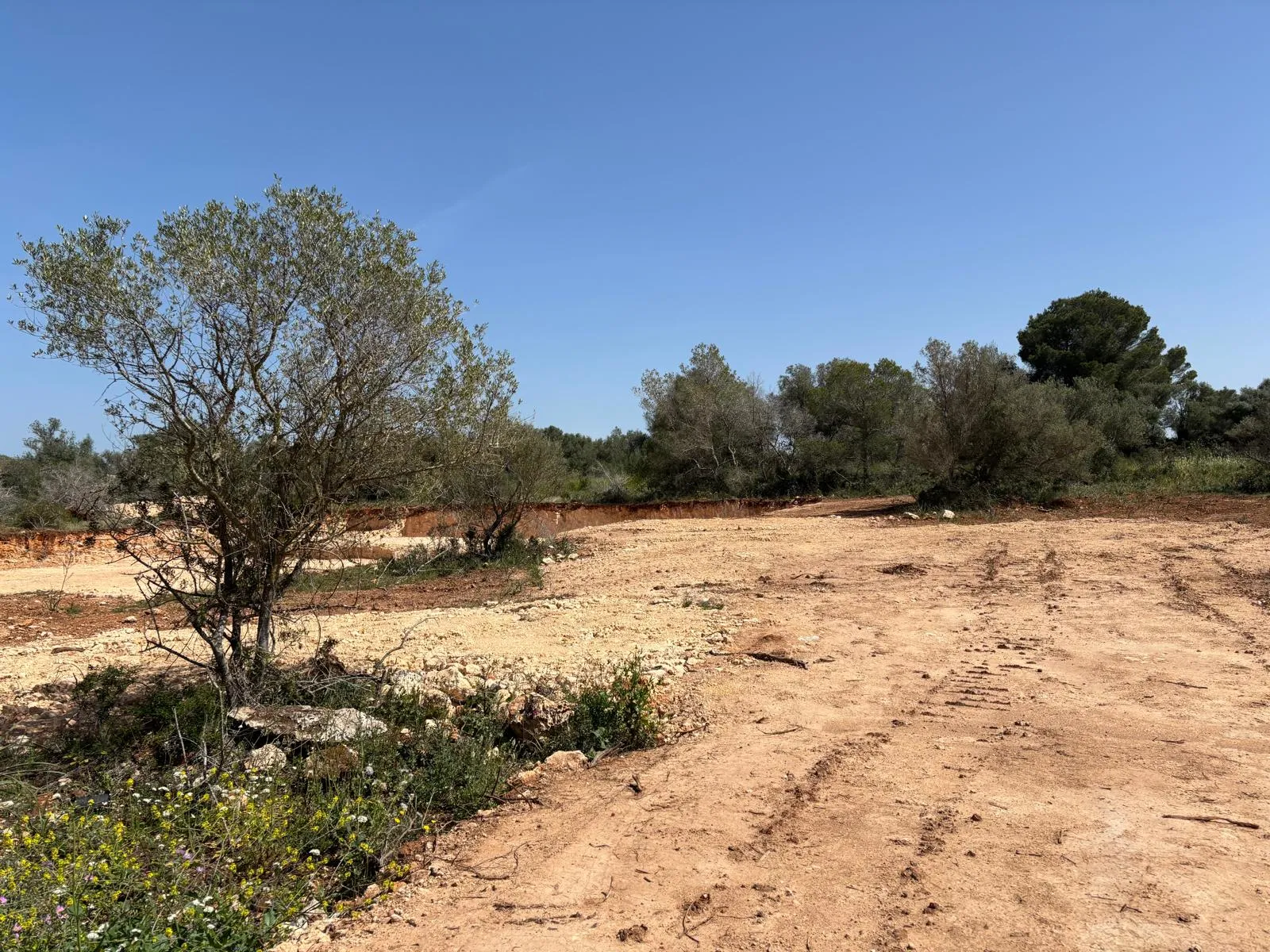 Investment opportunity in Son Gual: Nature and unobstructed views-7