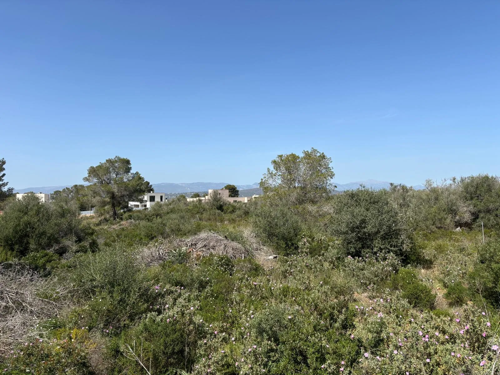 Investment opportunity in Son Gual: Nature and unobstructed views-3