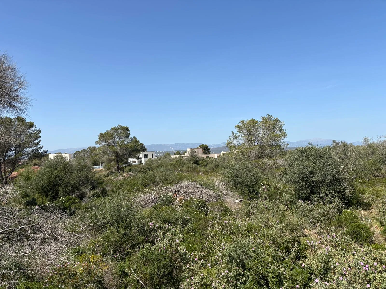 Investment opportunity in Son Gual: Nature and unobstructed views-4