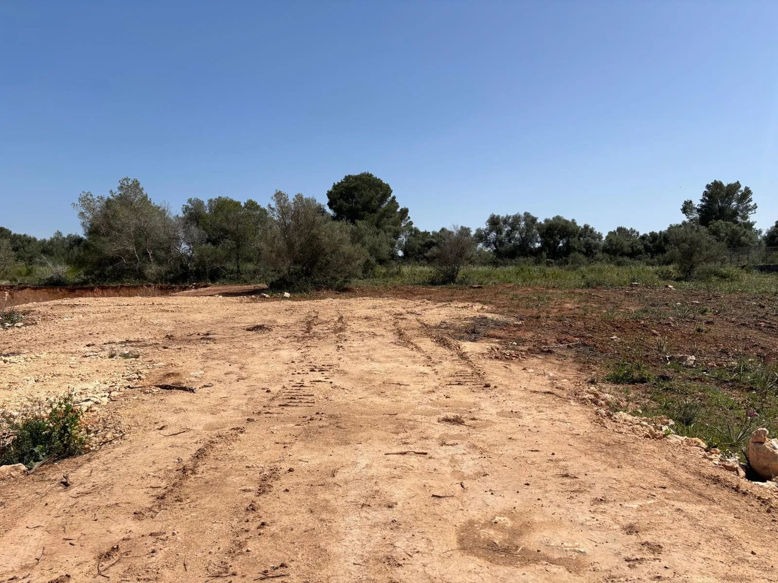 Investment opportunity in Son Gual: Nature and unobstructed views-8