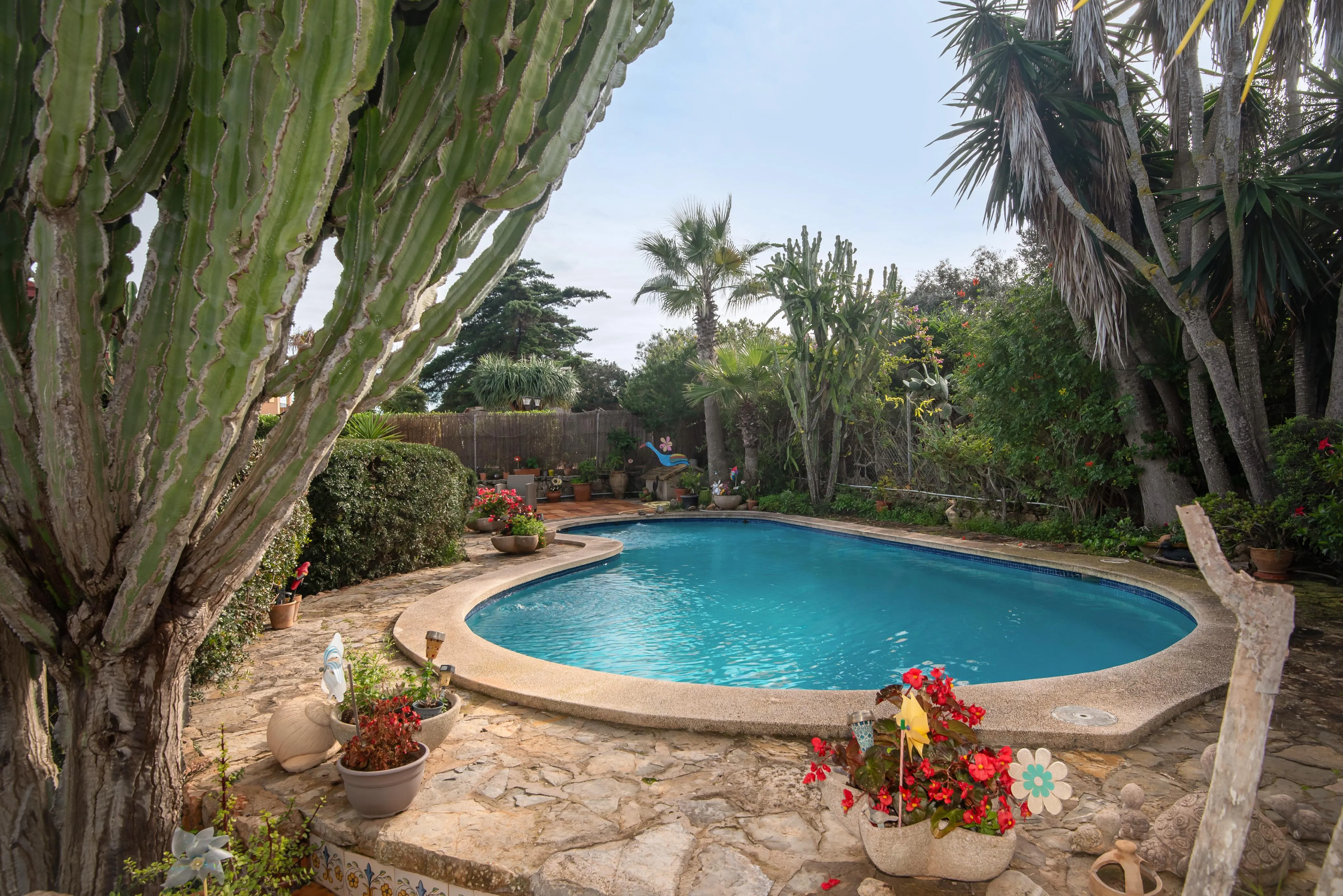 House with garden and pool near the sea-17