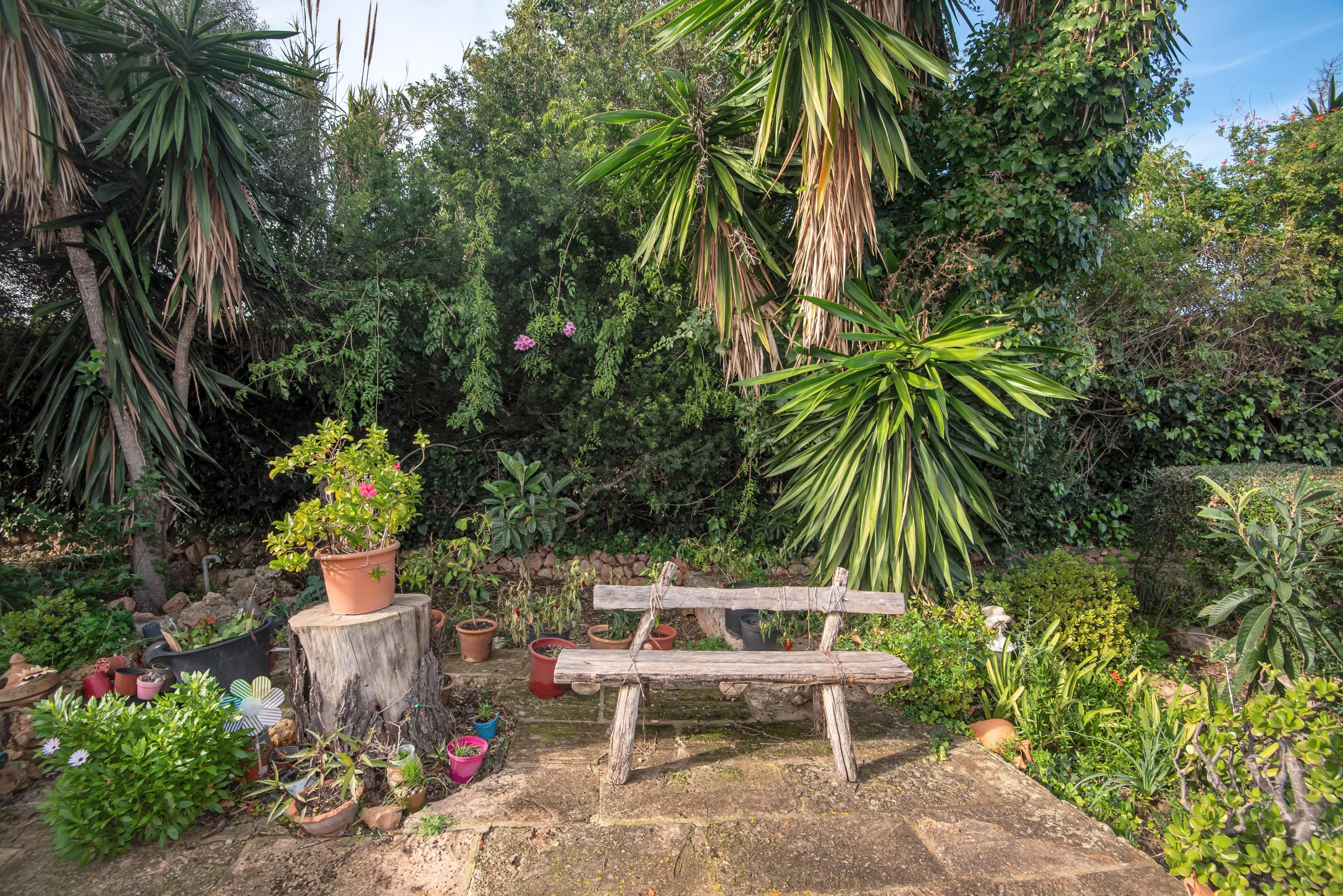 Oportunitat única i exclusiva: La casa dels seus somnis prop del mar-18