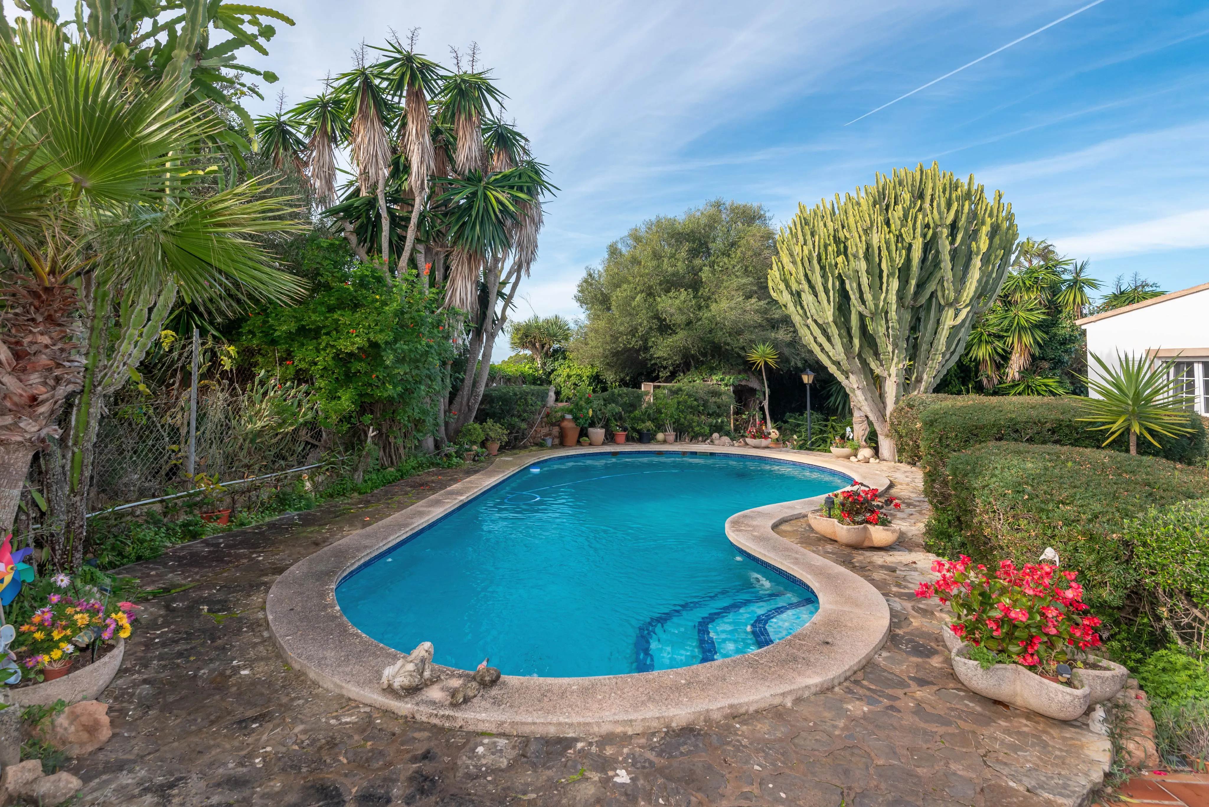 House with garden and pool near the sea-15