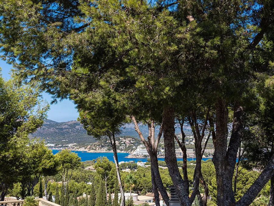 Villa met zeezicht in Nova Santa Ponsa-16