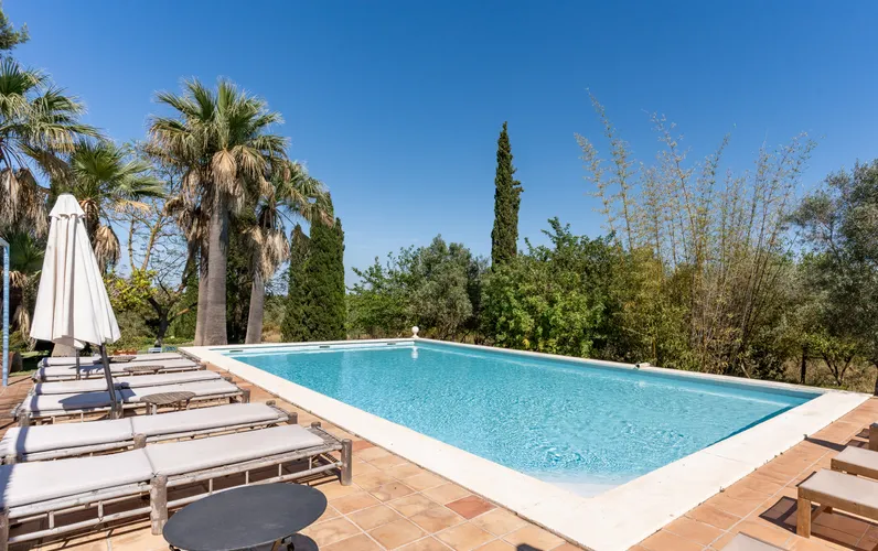 Finca z licencją agroturystyczną i produkcją oliwy z oliwek