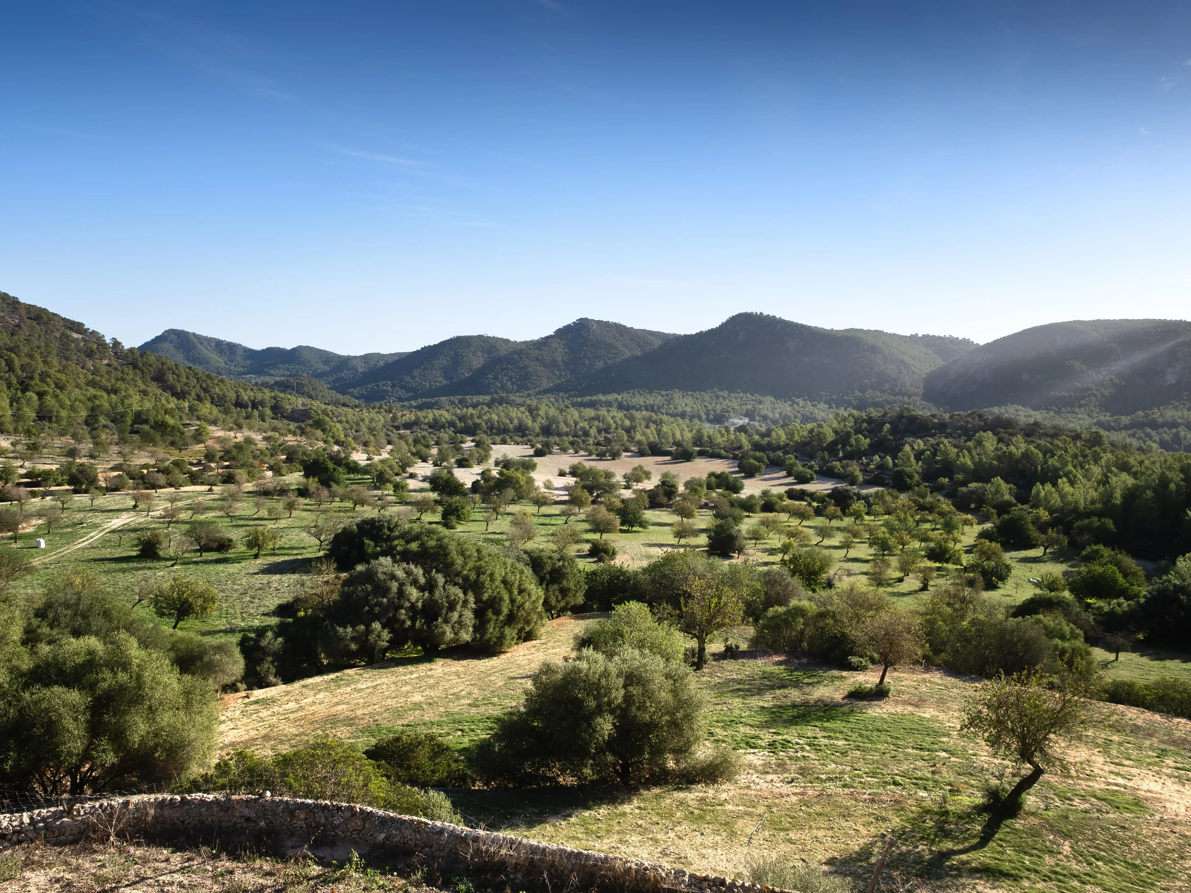 Auténtica possessió mallorquina con vistas panorámicas hasta el mar – una finca histórica con alma y potencial-20