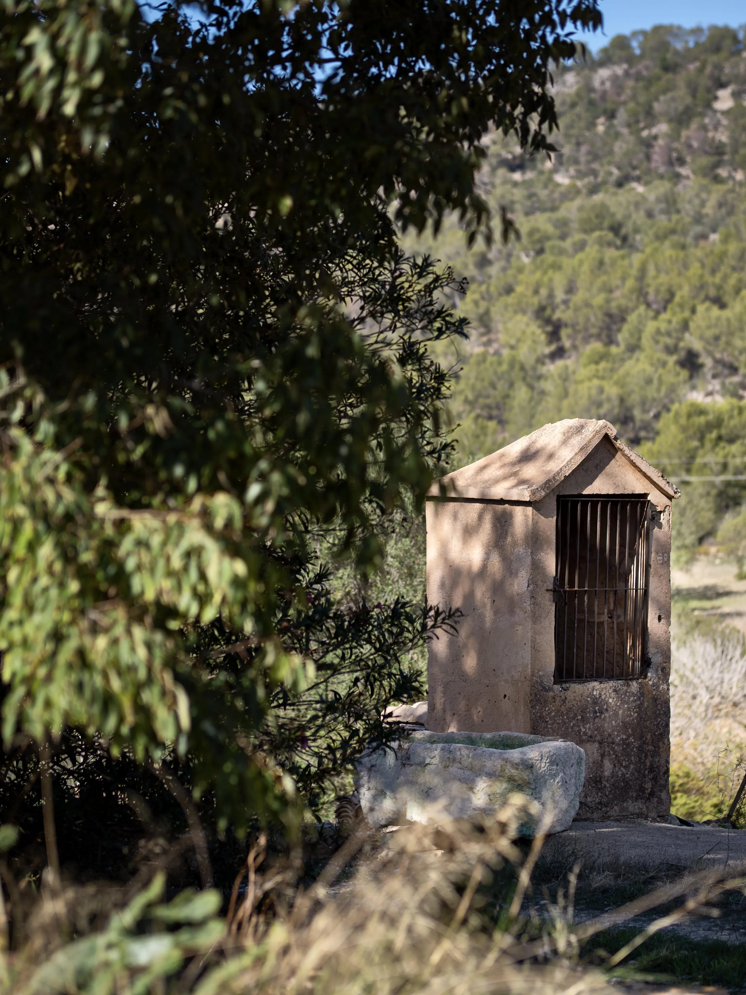Auténtica possessió mallorquina con vistas panorámicas hasta el mar – una finca histórica con alma y potencial-30