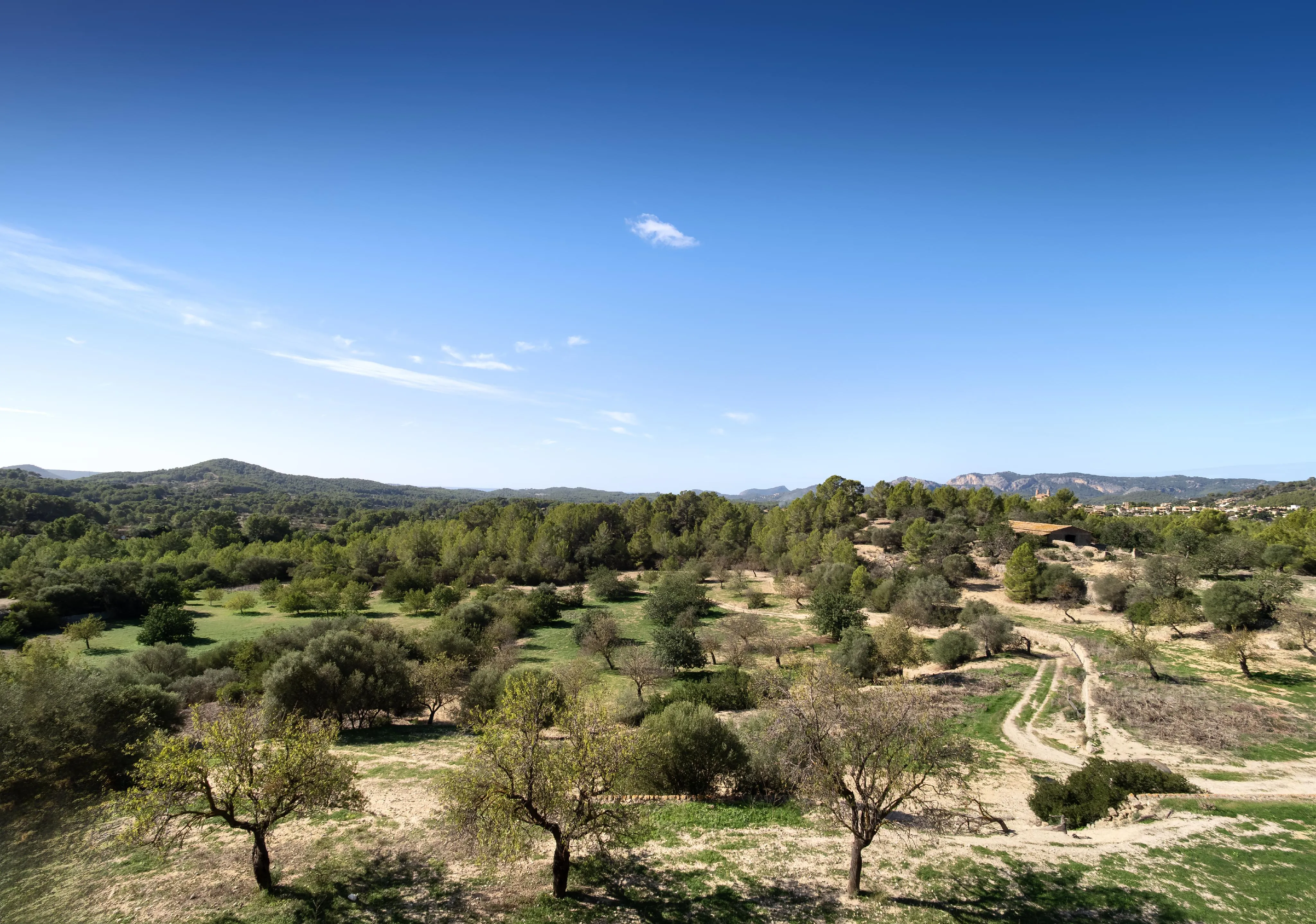 Auténtica possessió mallorquina con vistas panorámicas hasta el mar – una finca histórica con alma y potencial-9