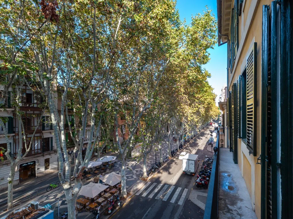 Elegant, renoverad lägenhet med utmärkt läge-2