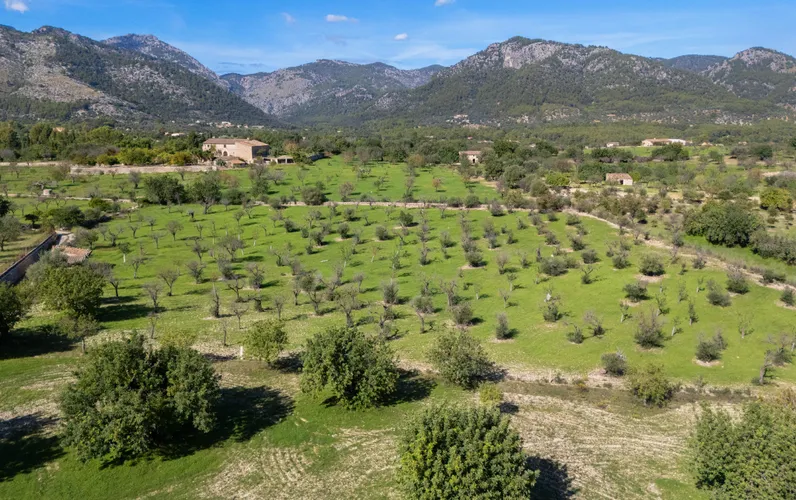 Terreno con progetto per una casa di campagna mediterranea con vista sulla Serra de Tramuntana e sul villaggio di Campanet