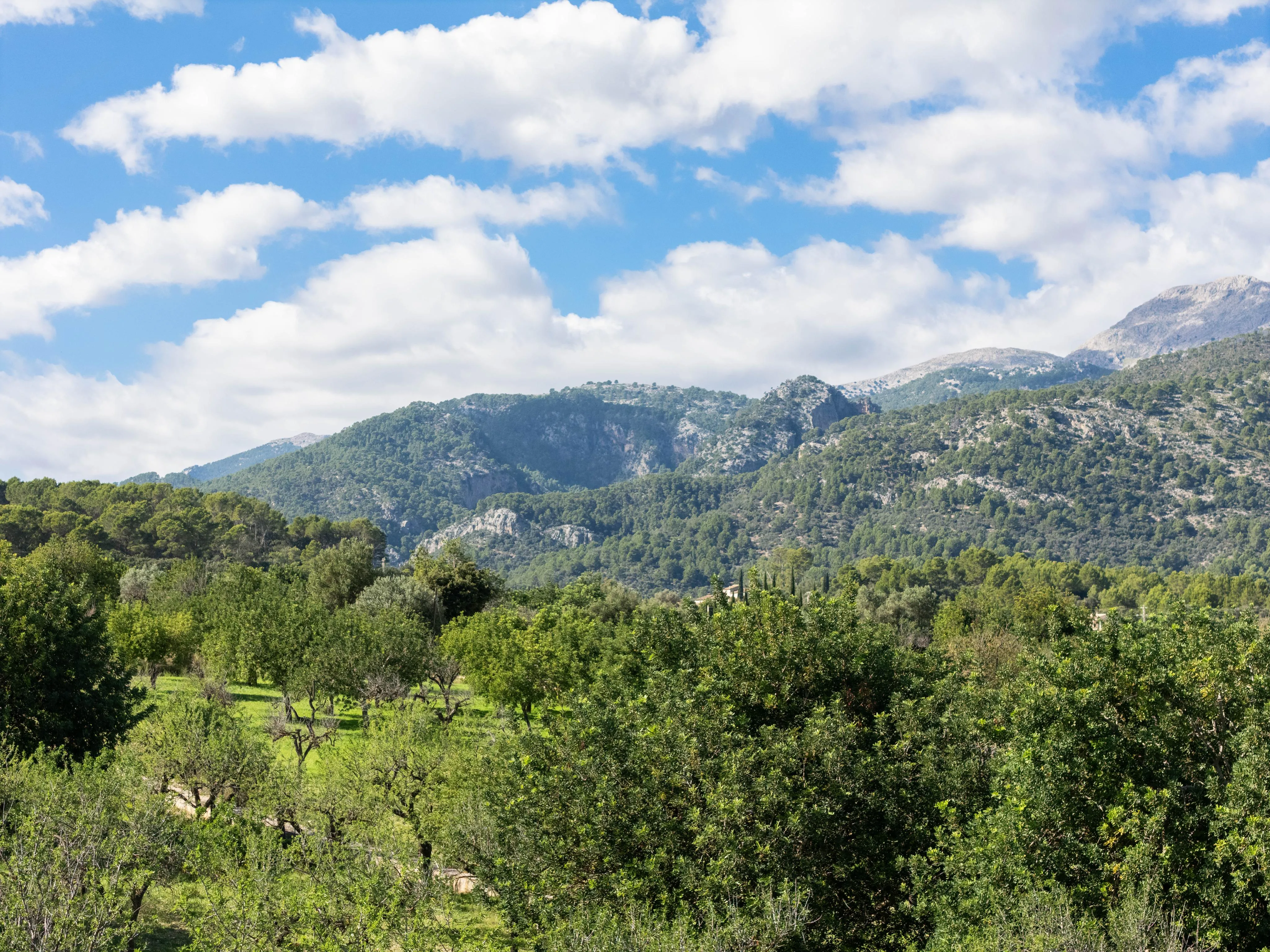 Terreno con proyecto de casa de campo mediterránea con vistas a la montaña y al pueblo-14