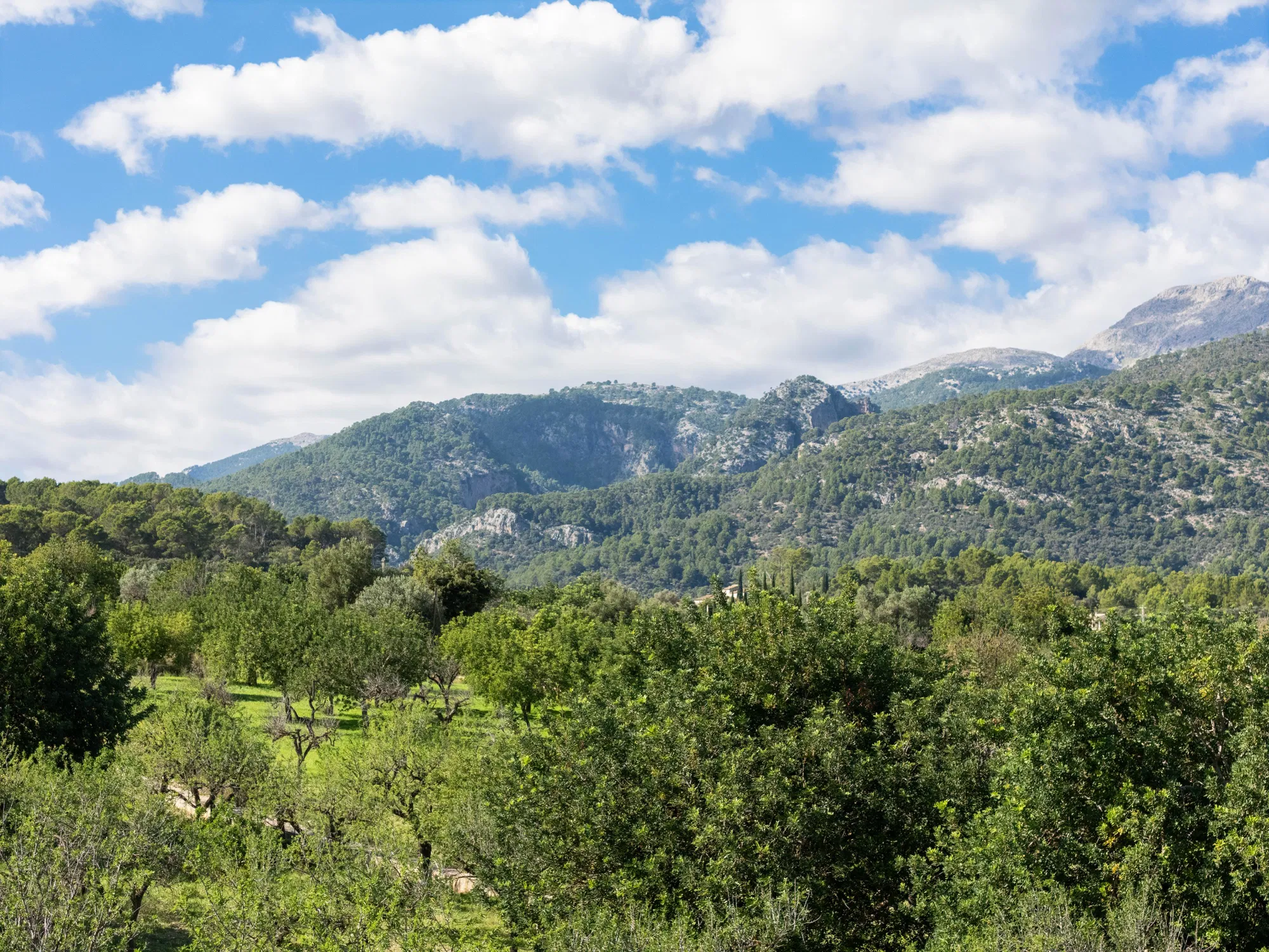 Działka z projektem śródziemnomorskiego domu wiejskiego z widokiem na Serra de Tramuntana i miejscowość Campanet-14