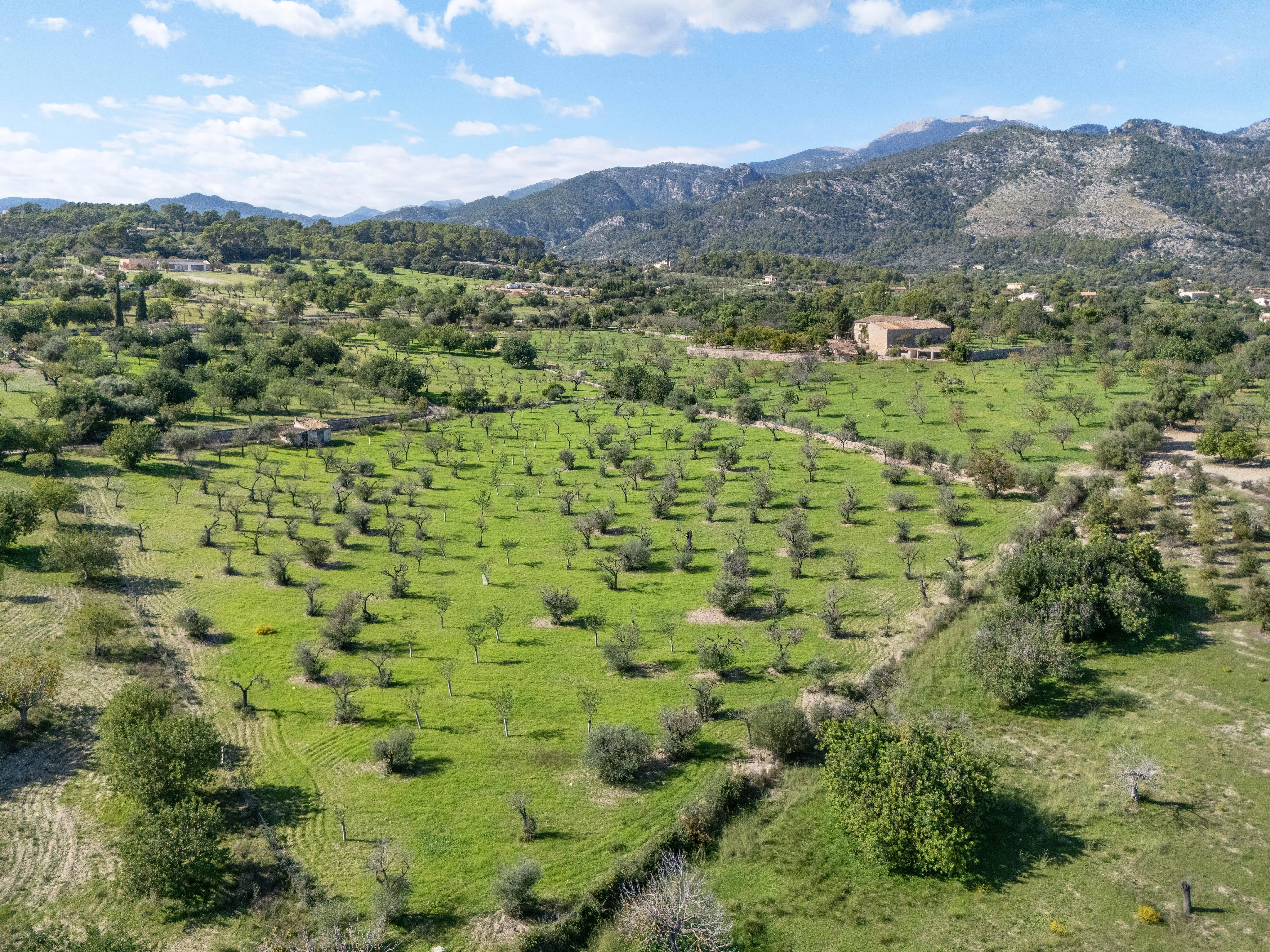 Terreno con proyecto de casa de campo mediterránea con vistas a la montaña y al pueblo-4