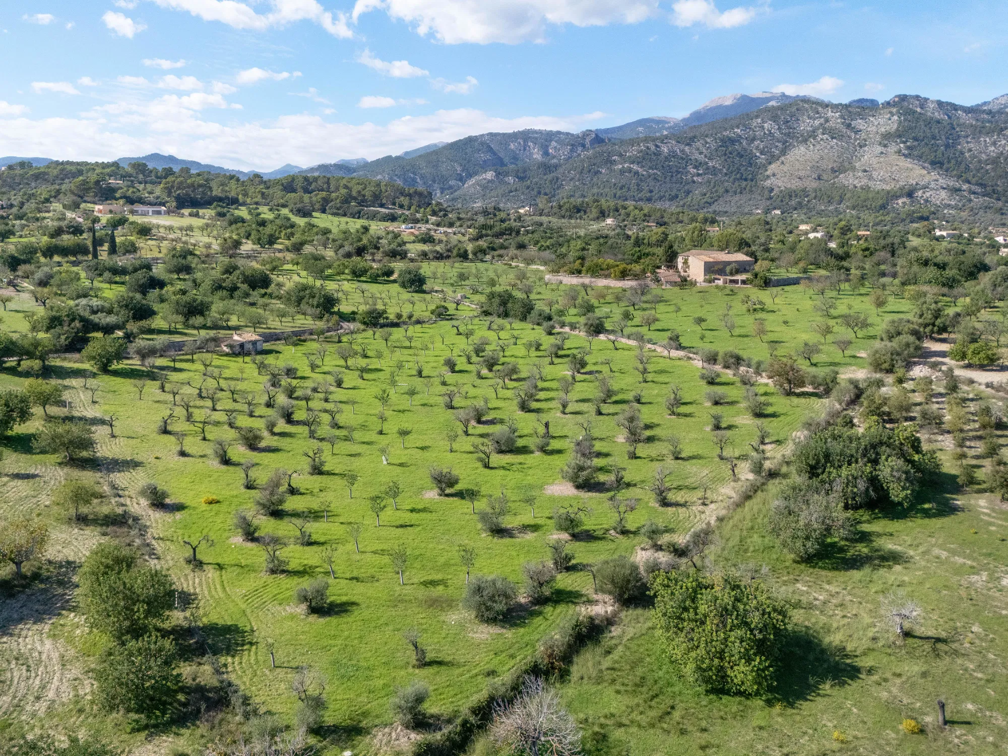 Działka z projektem śródziemnomorskiego domu wiejskiego z widokiem na Serra de Tramuntana i miejscowość Campanet-4