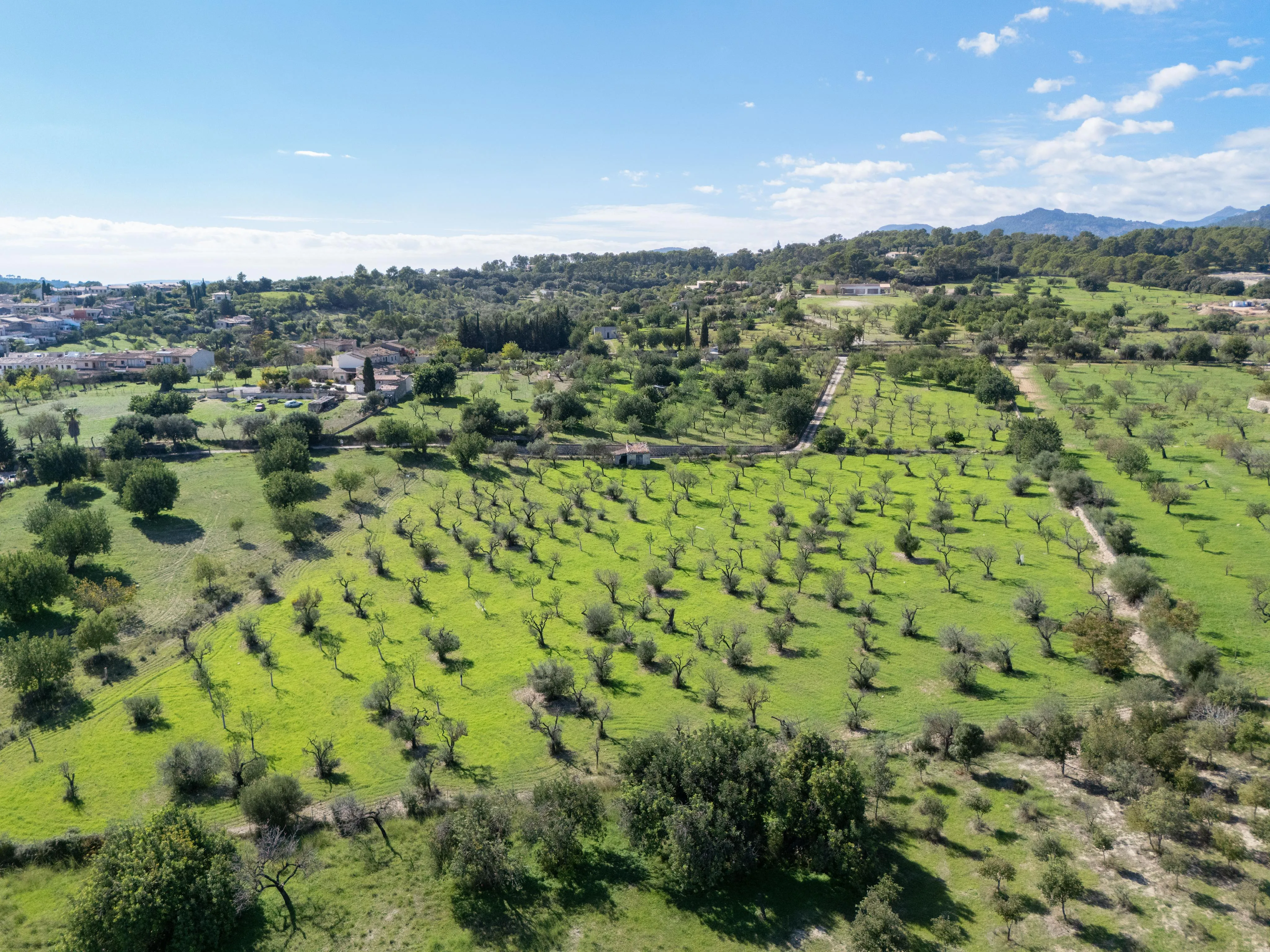 Terreno con proyecto de casa de campo mediterránea con vistas a la montaña y al pueblo-8