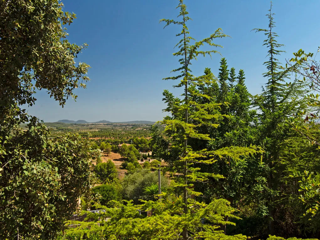 Villa i finca-stil med havudsigt-3