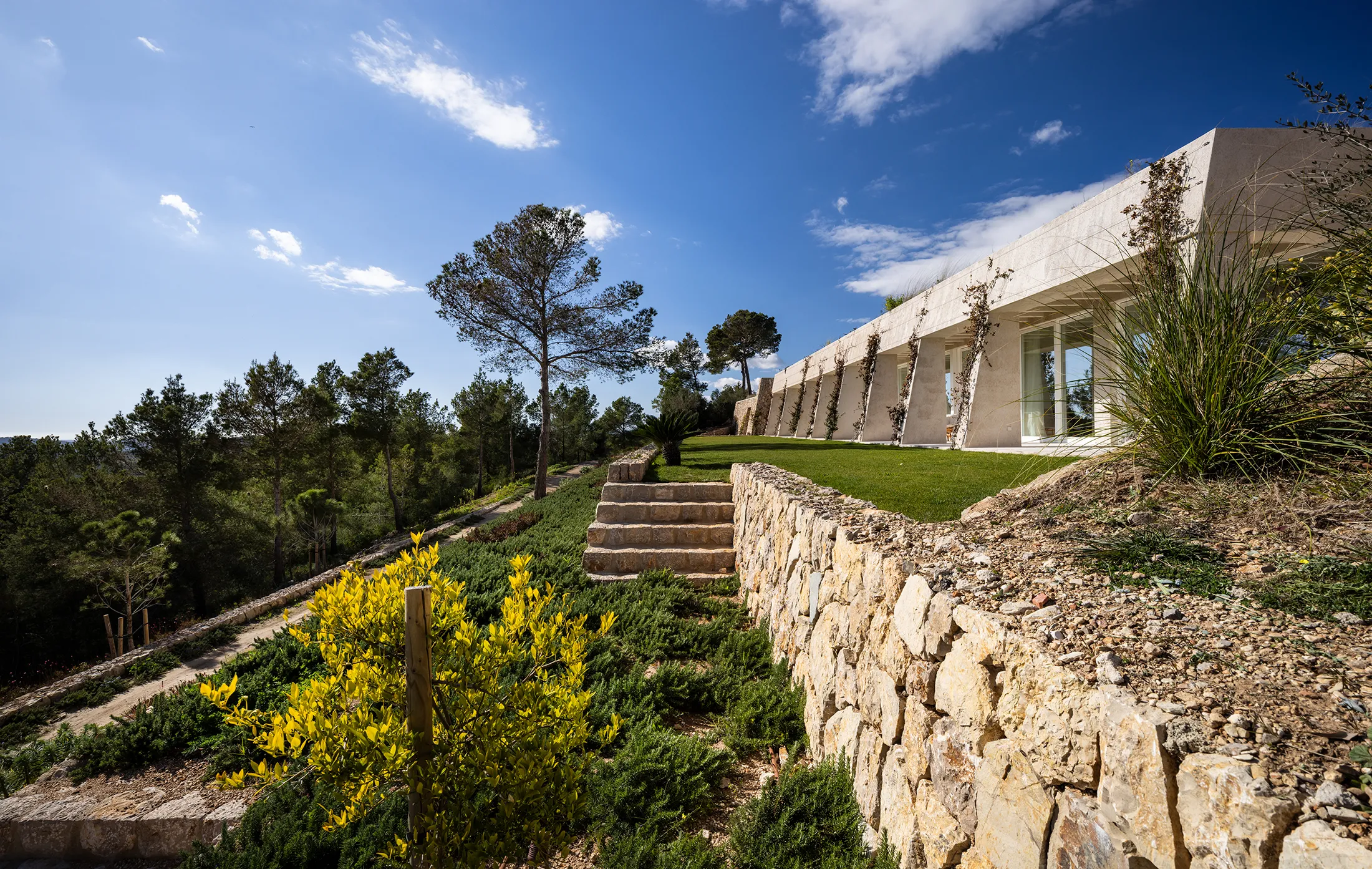 "The Mountain Crest" - Unique en son genre-3