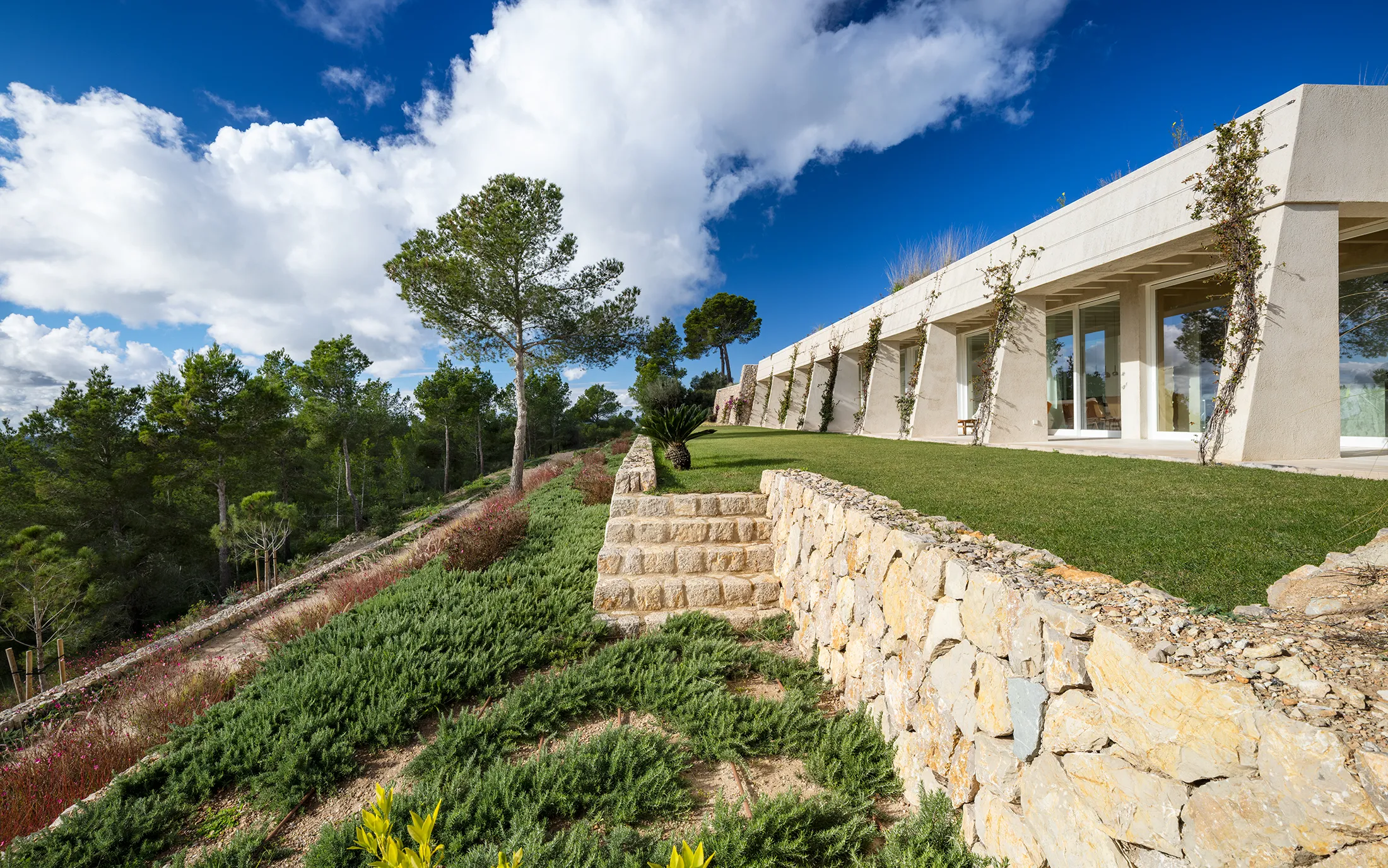 "The Mountain Crest" - Uniek in zijn soort-15