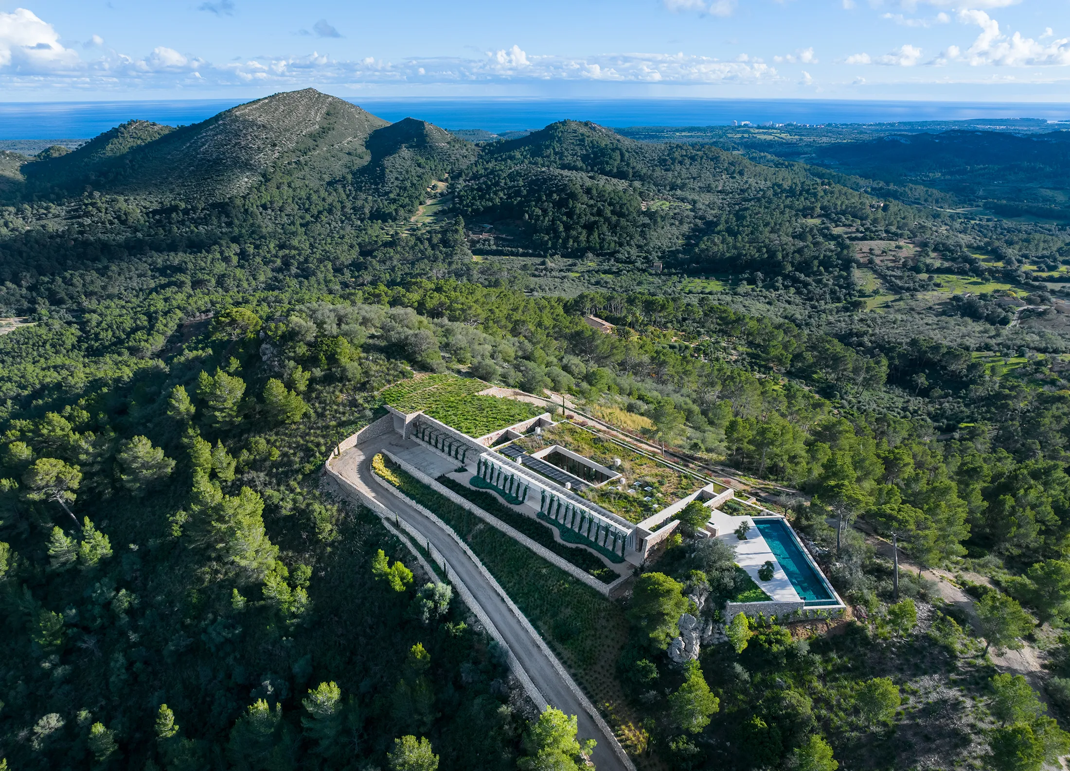 "The Mountain Crest" - Unique en son genre-1