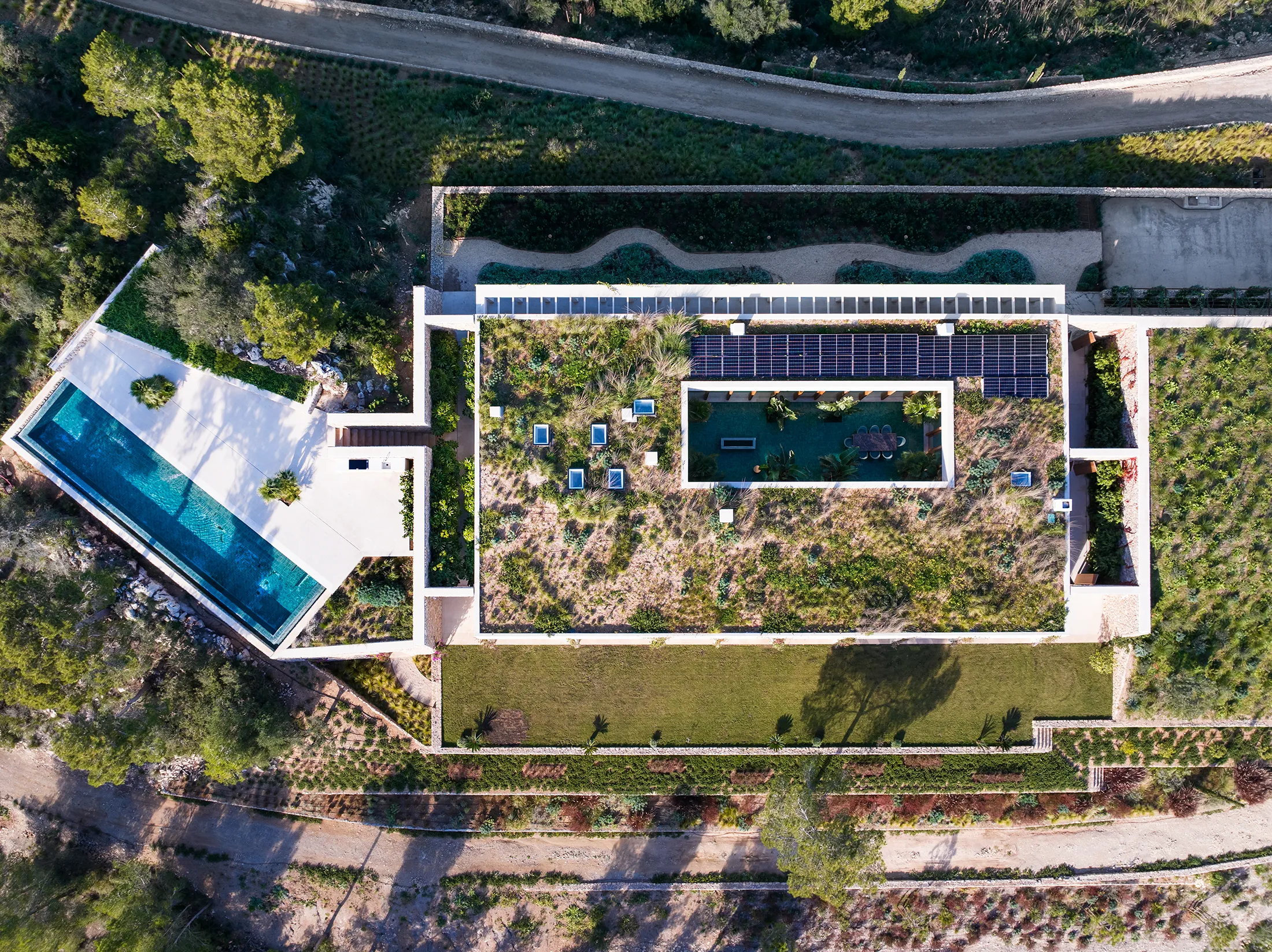 "The Mountain Crest" - Unique en son genre-18