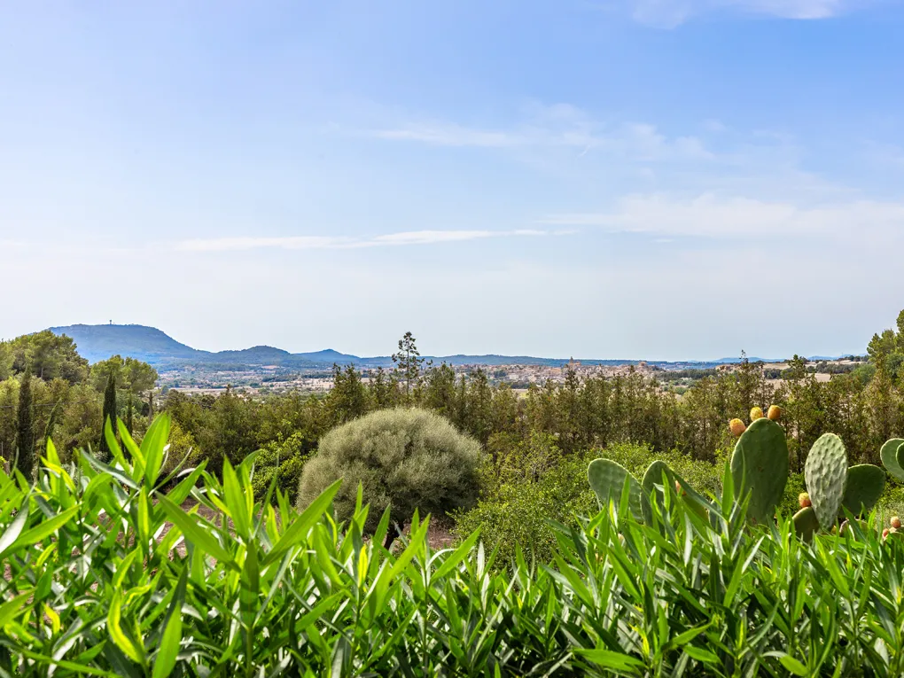 Casa di campagna con carattere e torre a Montuiri-17