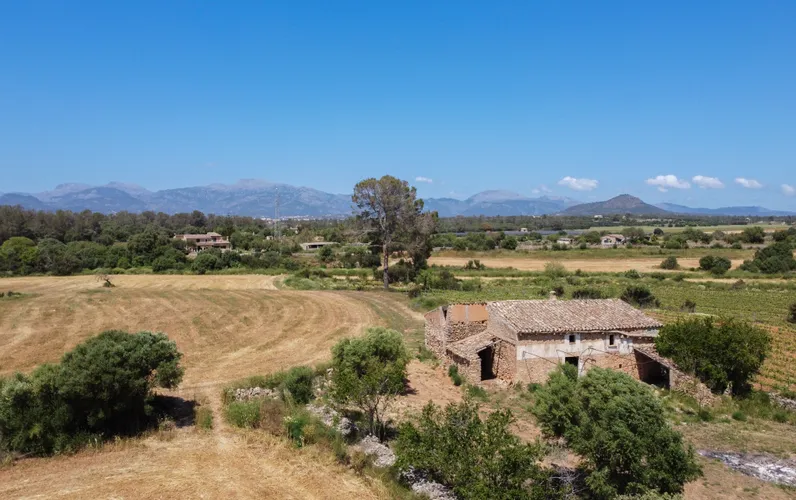 Terrain avec ruine en pierre, projet de restauration et vignoble