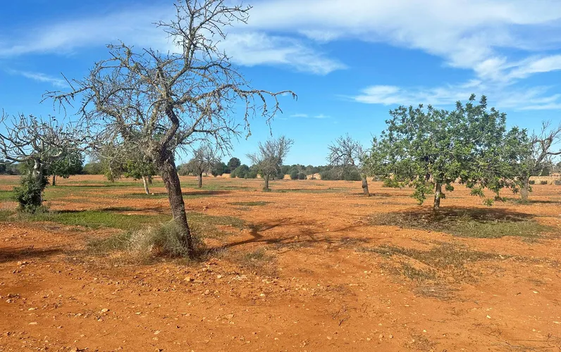 Большая недвижимость в Ллукмайоре