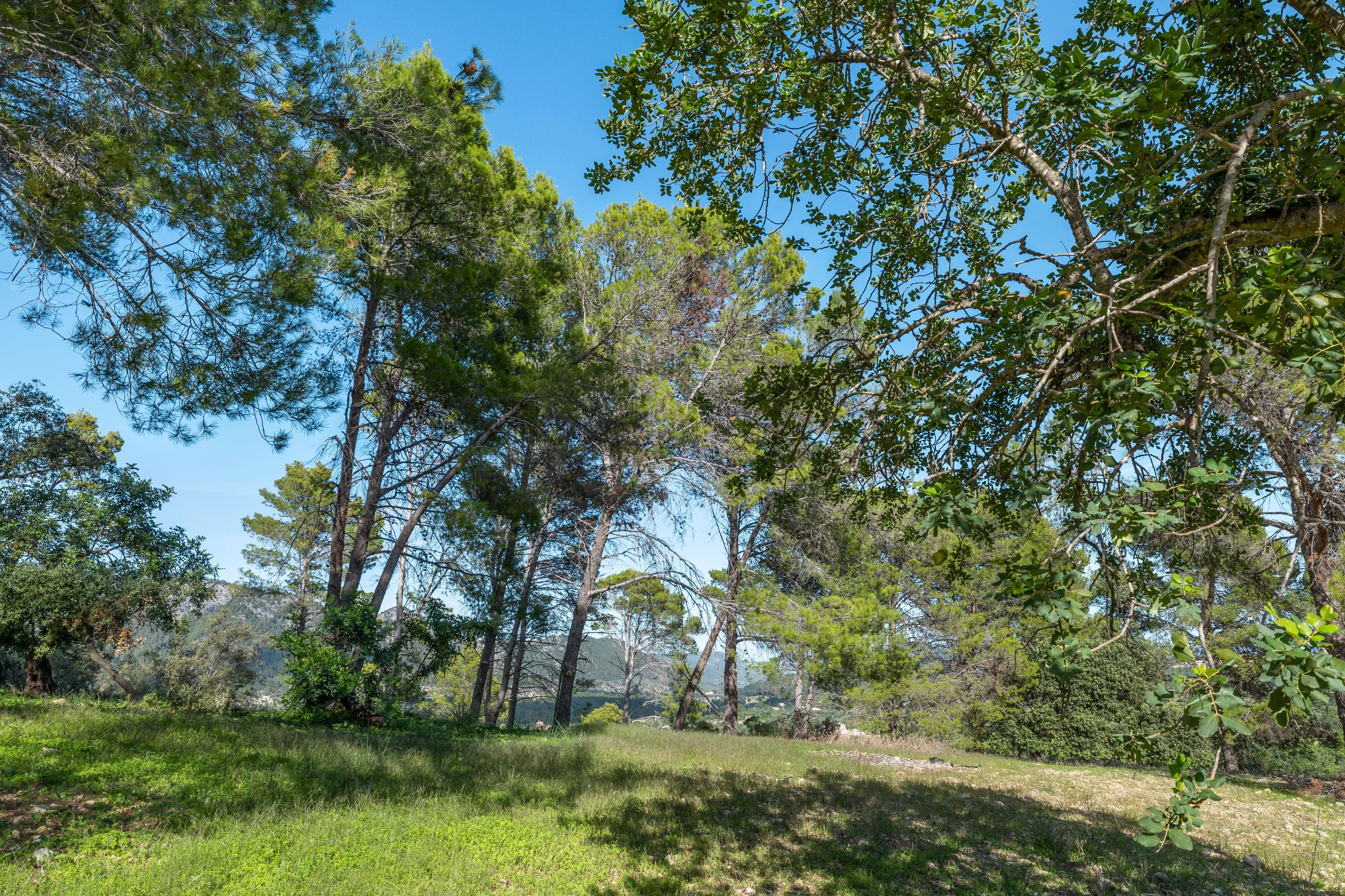 Finca de diseño sofisticado con vistas a la montaña y hasta la Bahía de Alcúdia-17